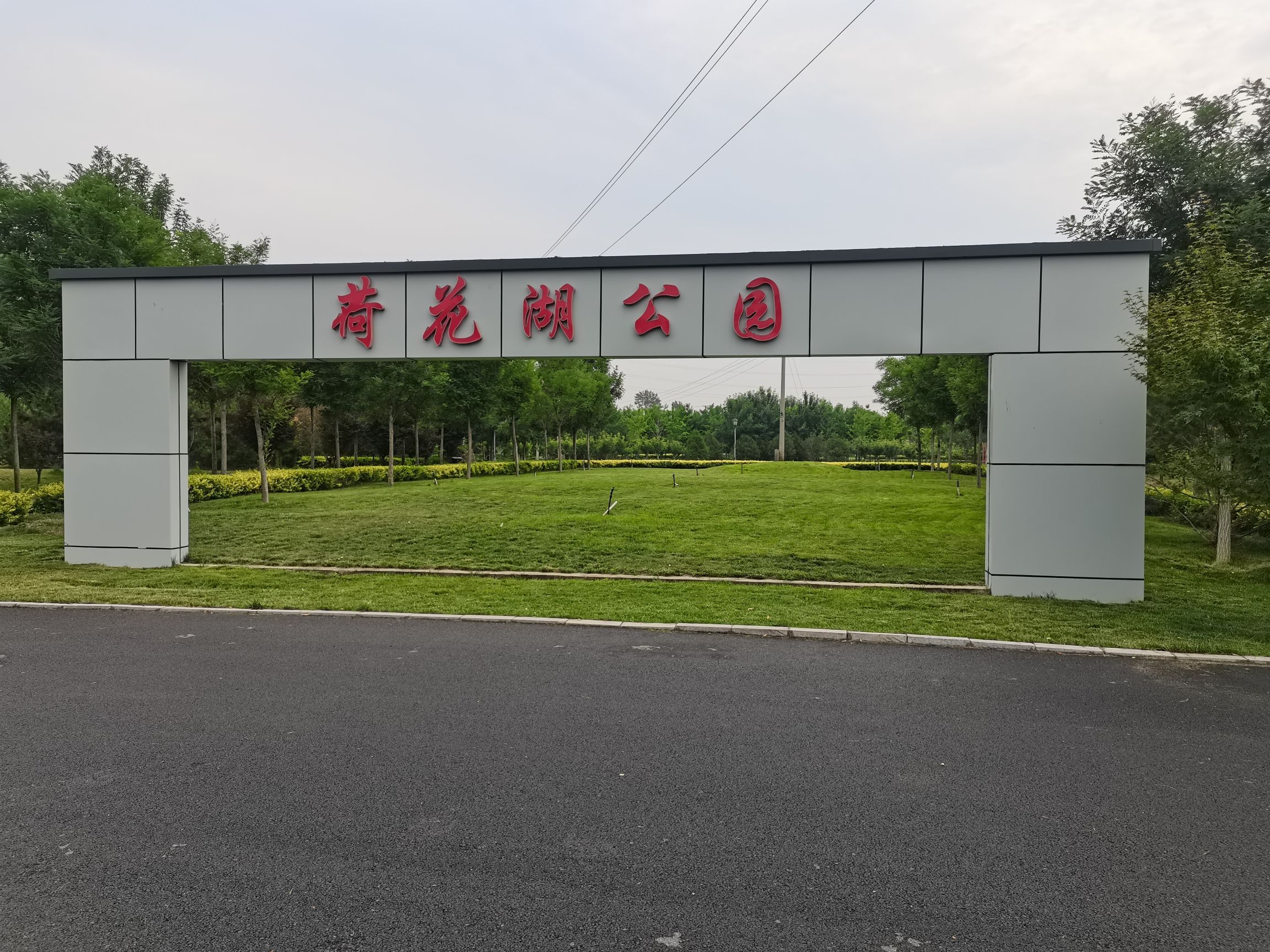 荷花湖公园旅行图片