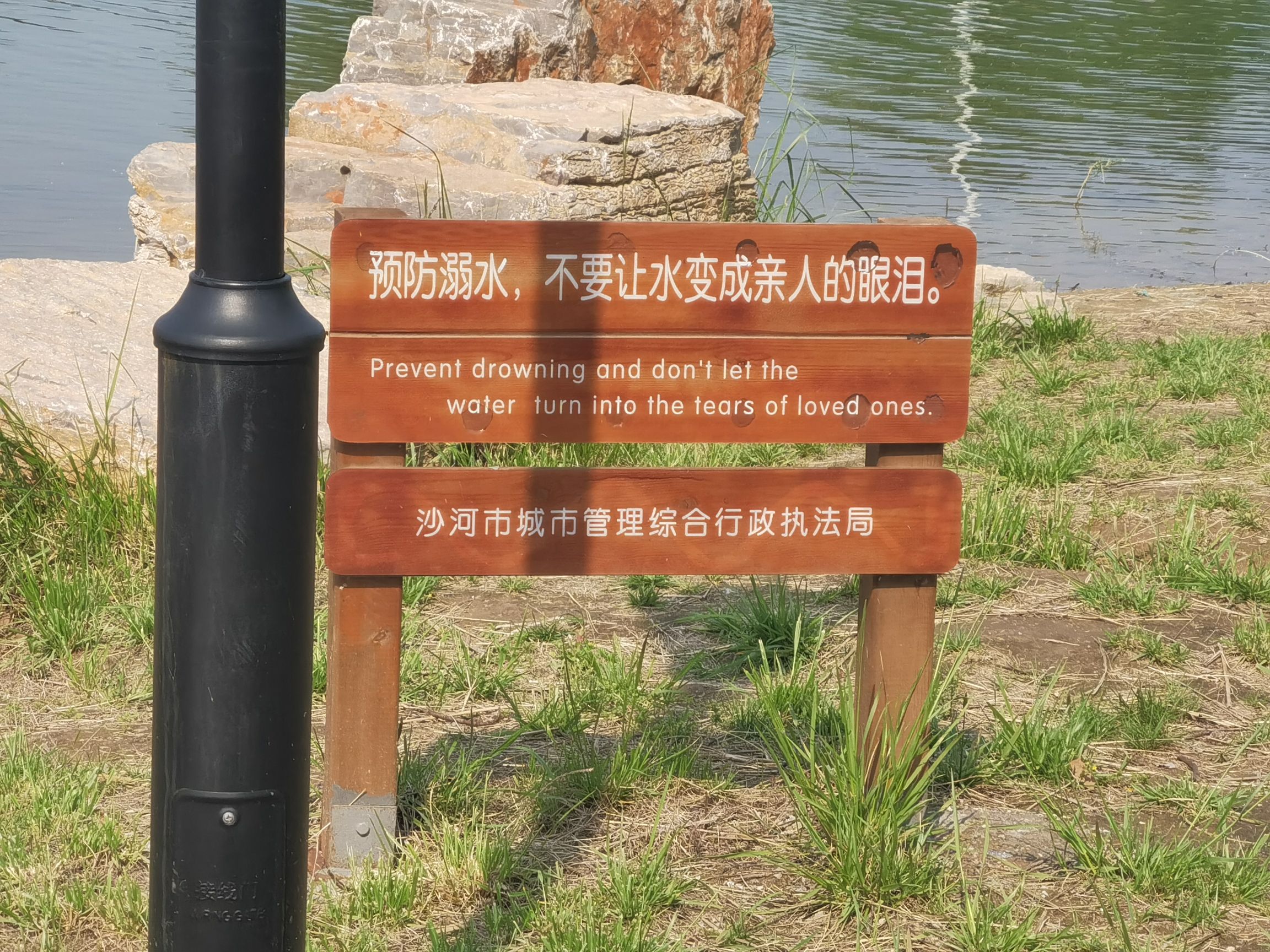 荷花湖公园旅行图片