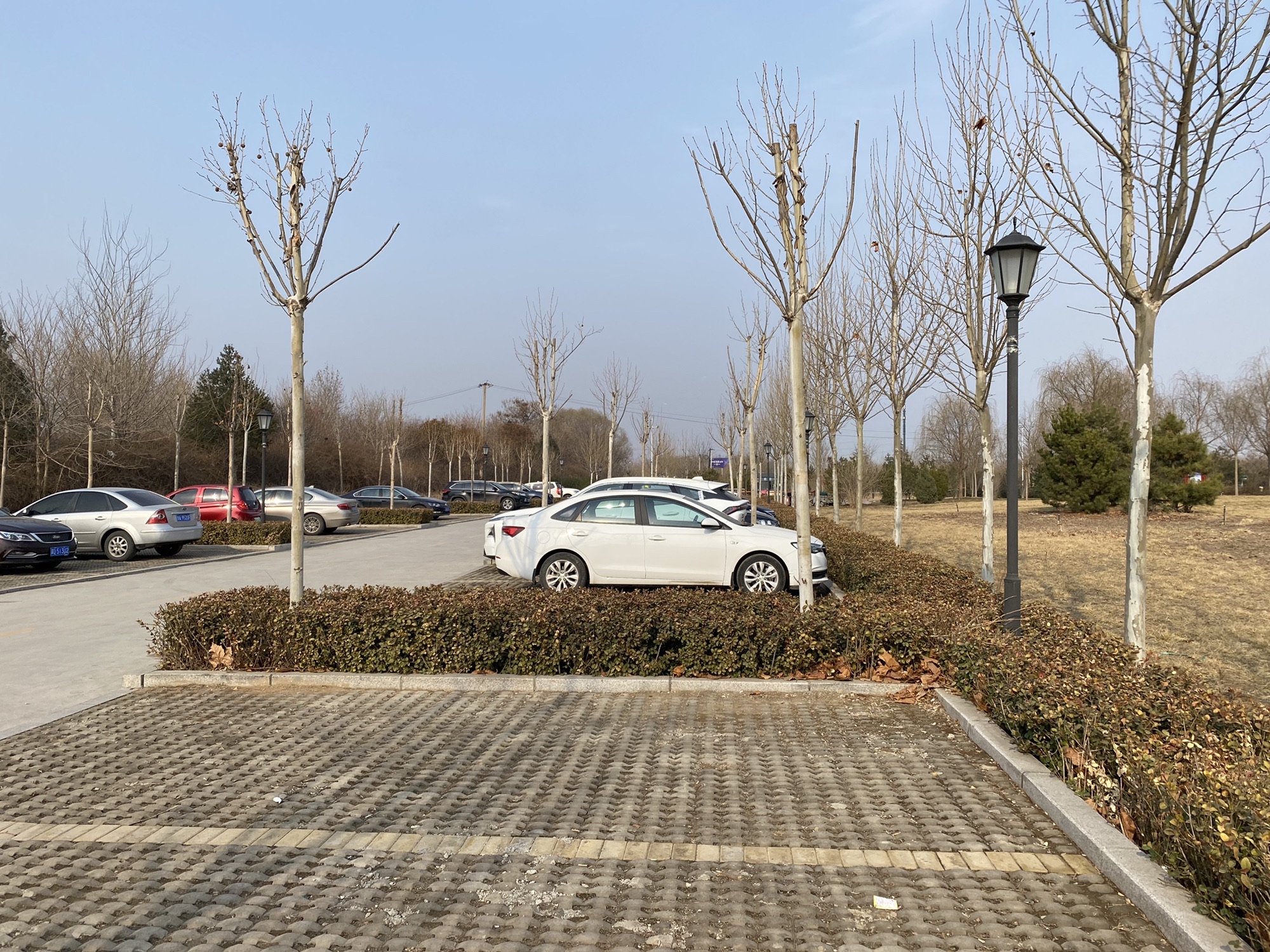 荷花湖公园旅行图片