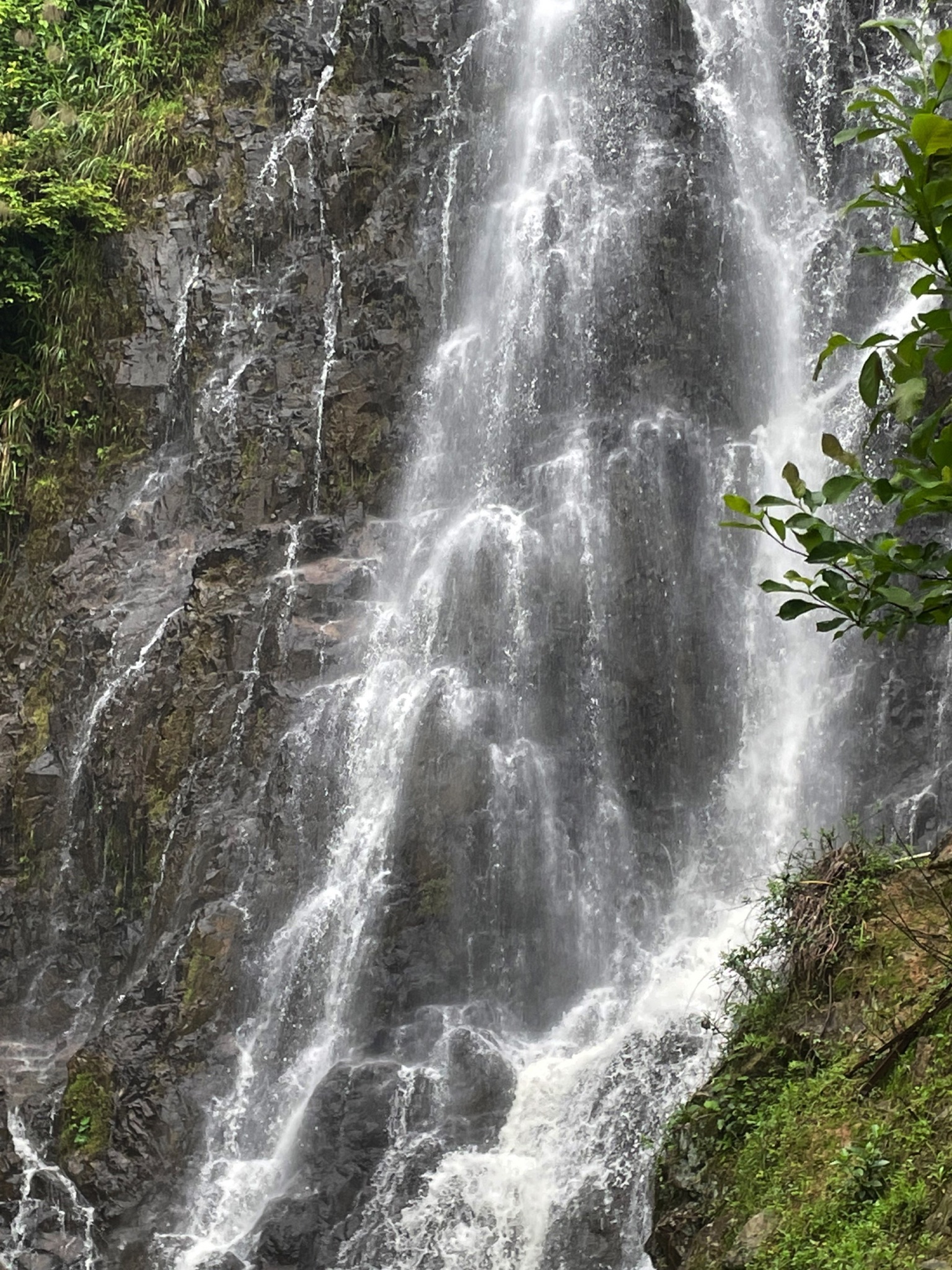 仙湖洞旅行图片