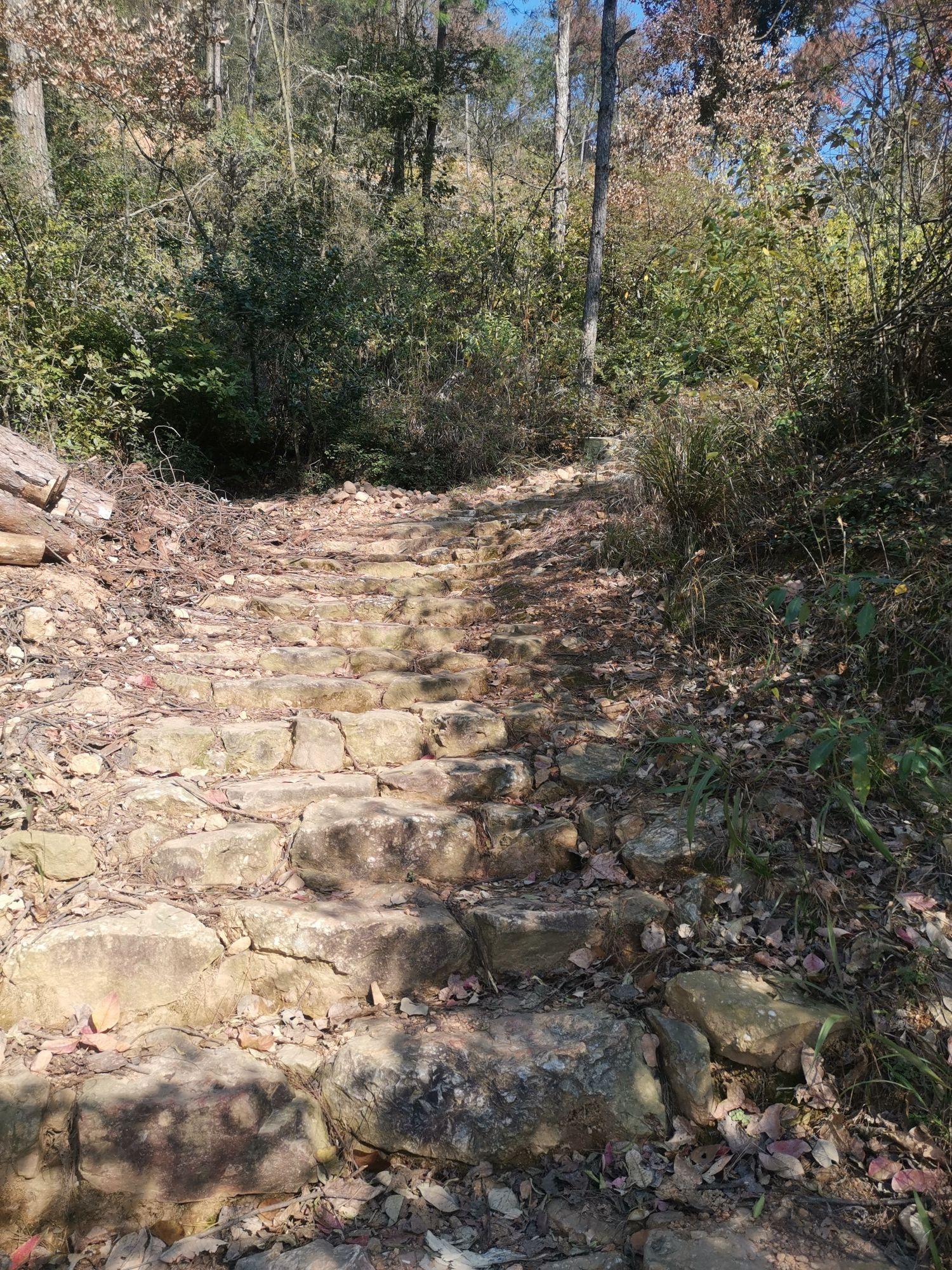 杨洞坑古道