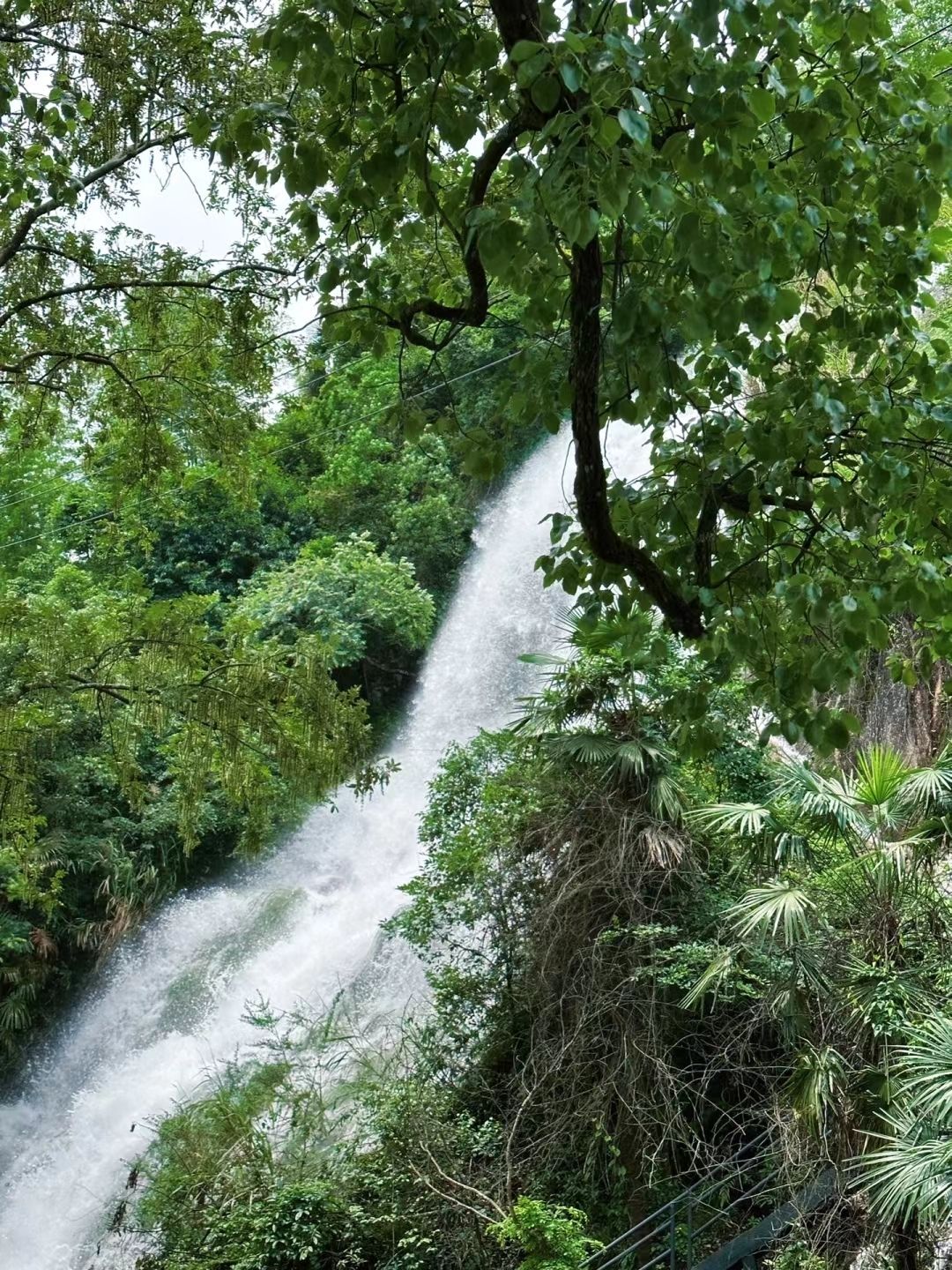 五府山湿地公园