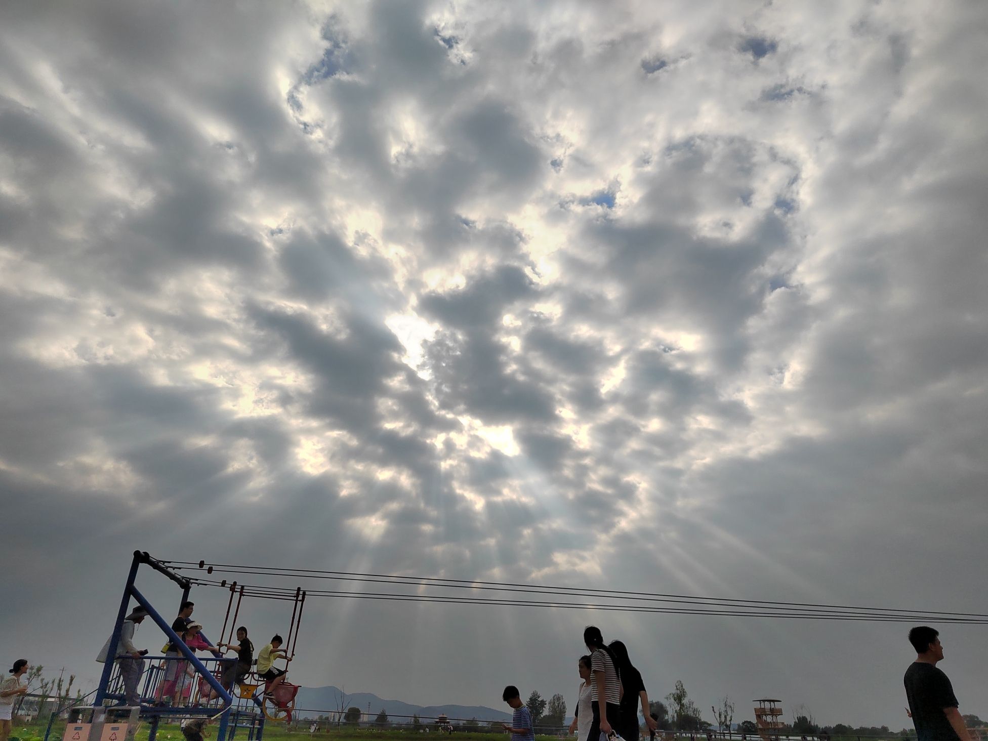 百莲百荷