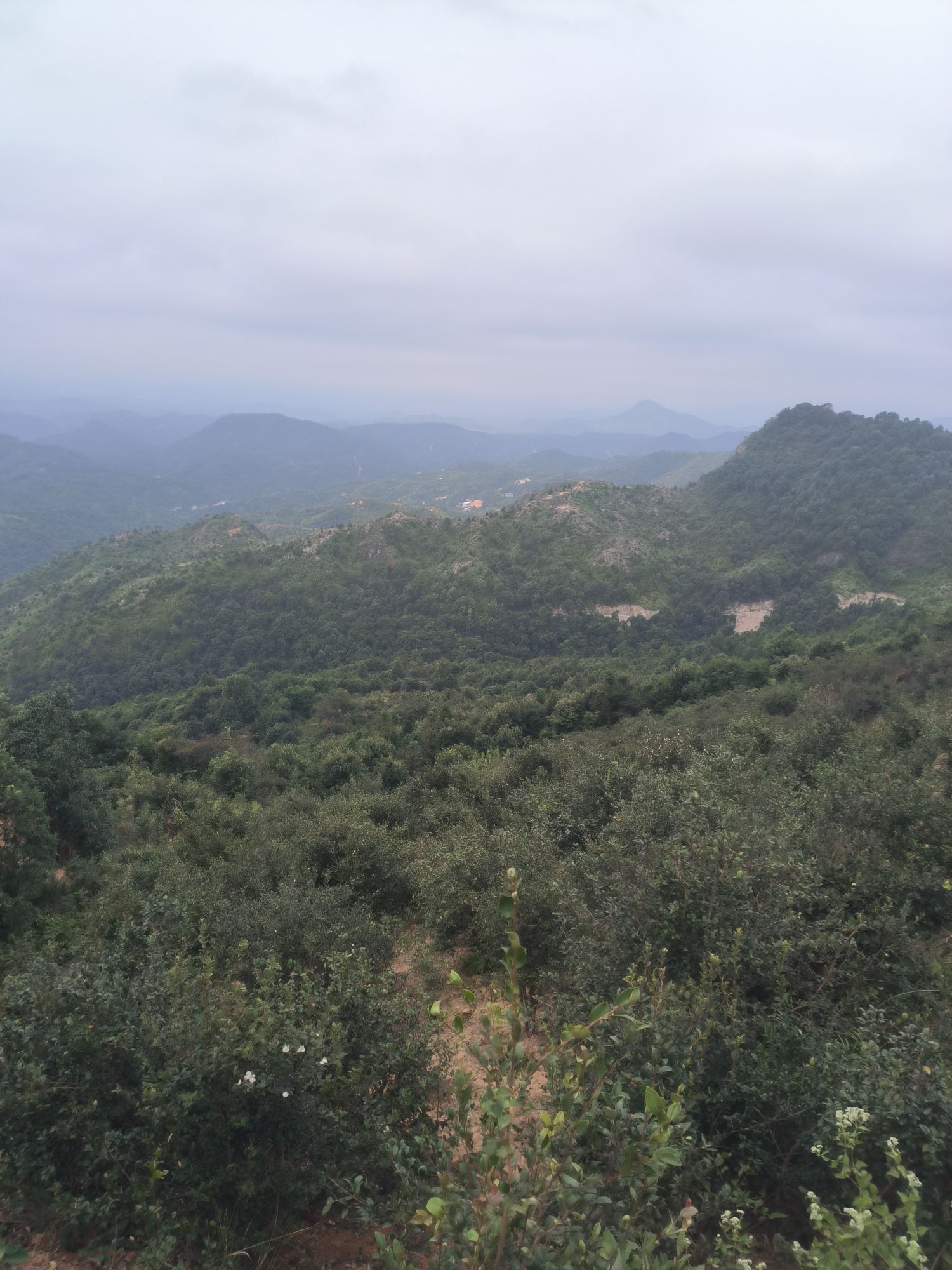 贝墩树华仙人嶂风景区旅行图片