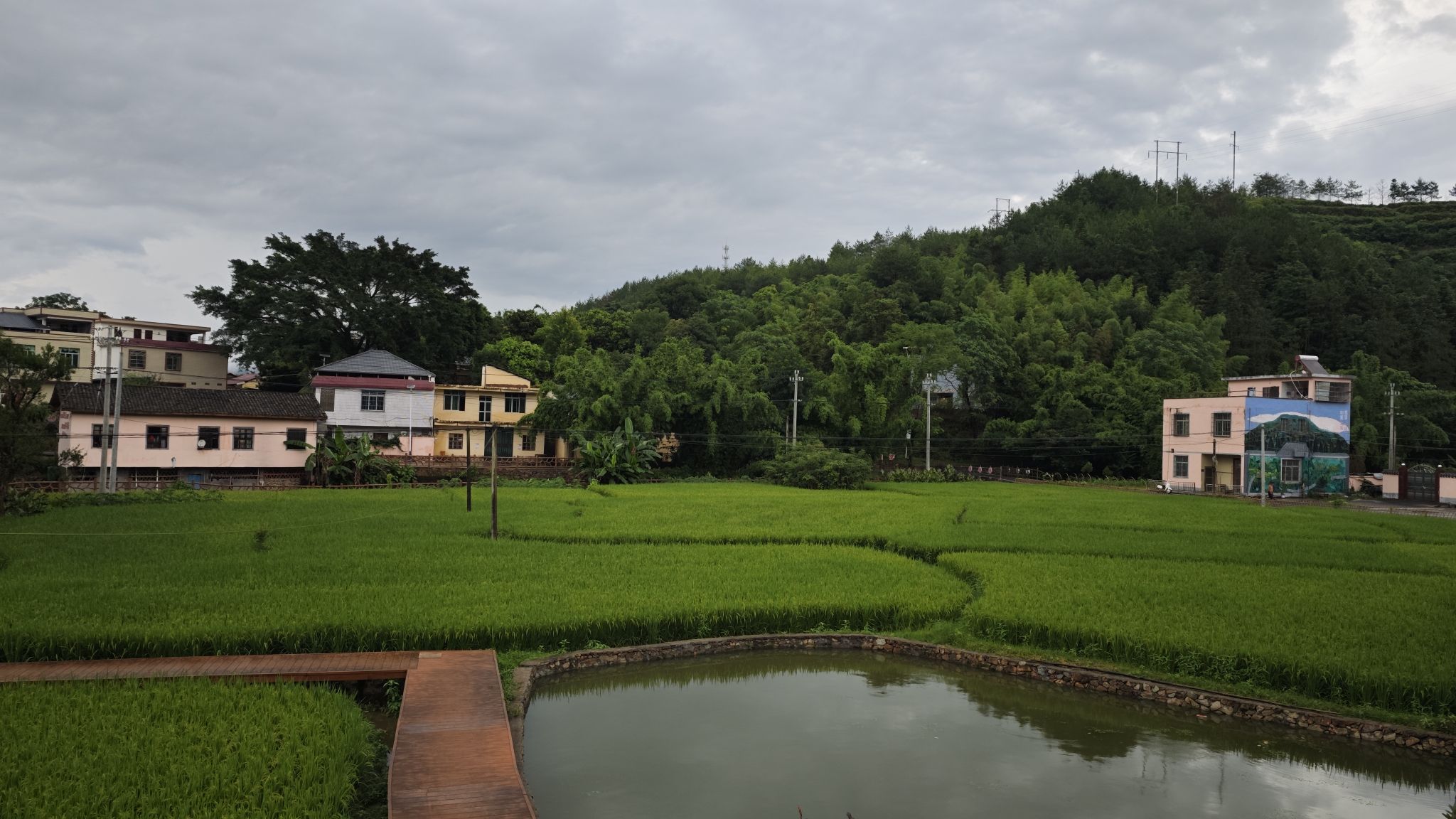紫参小镇旅行图片