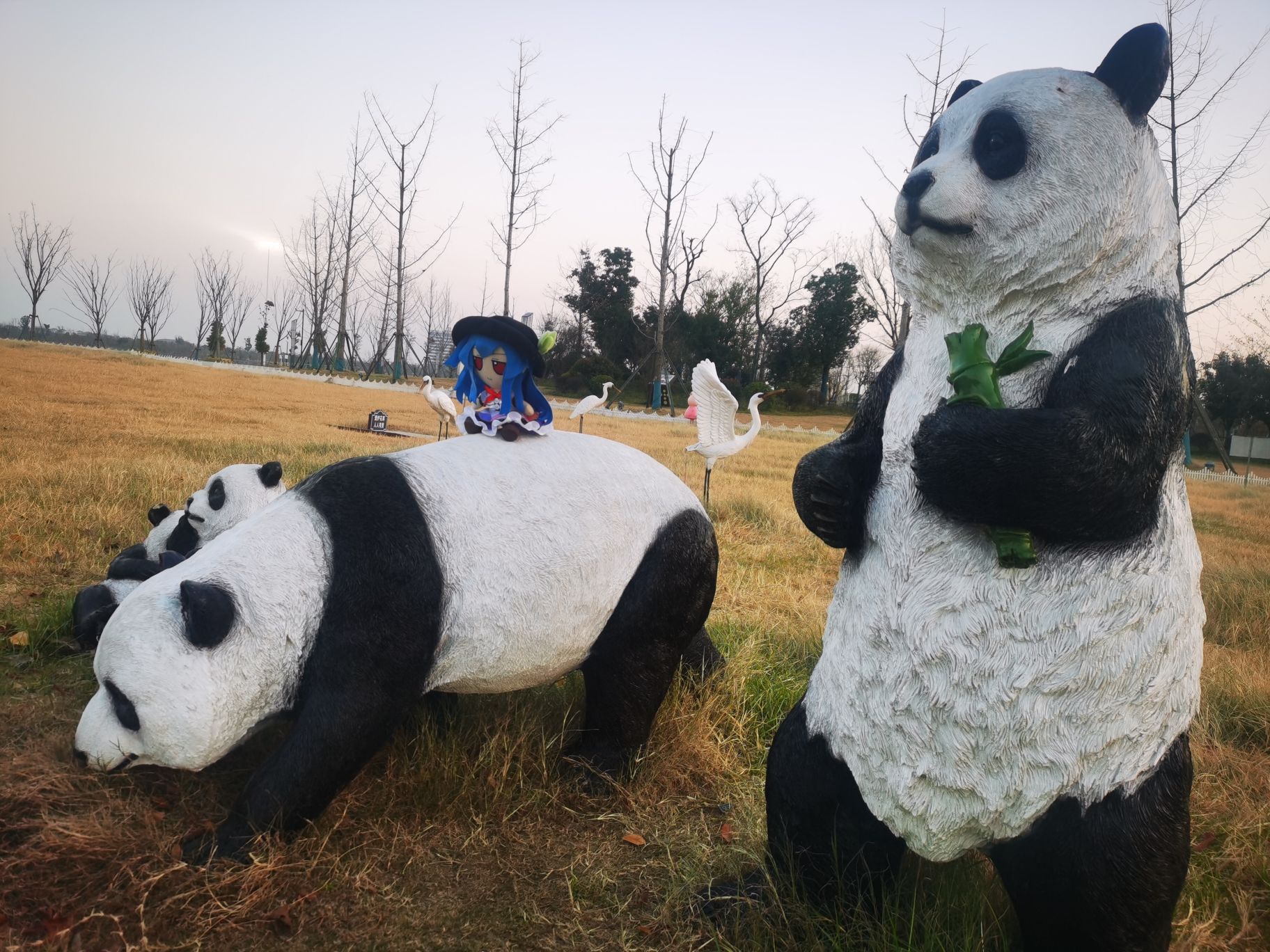 謇公湖生态公园旅行图片
