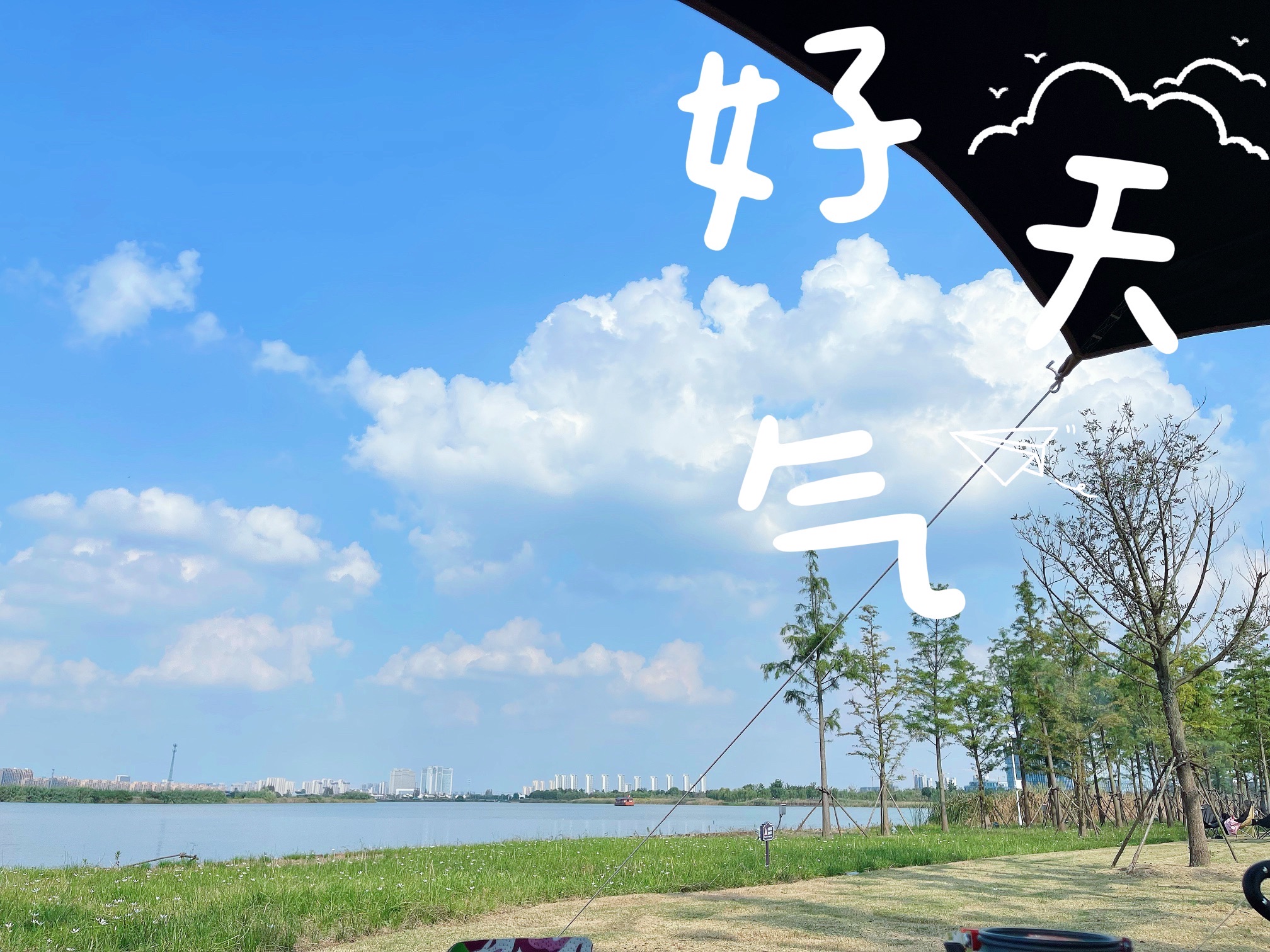 謇公湖生态公园旅行图片