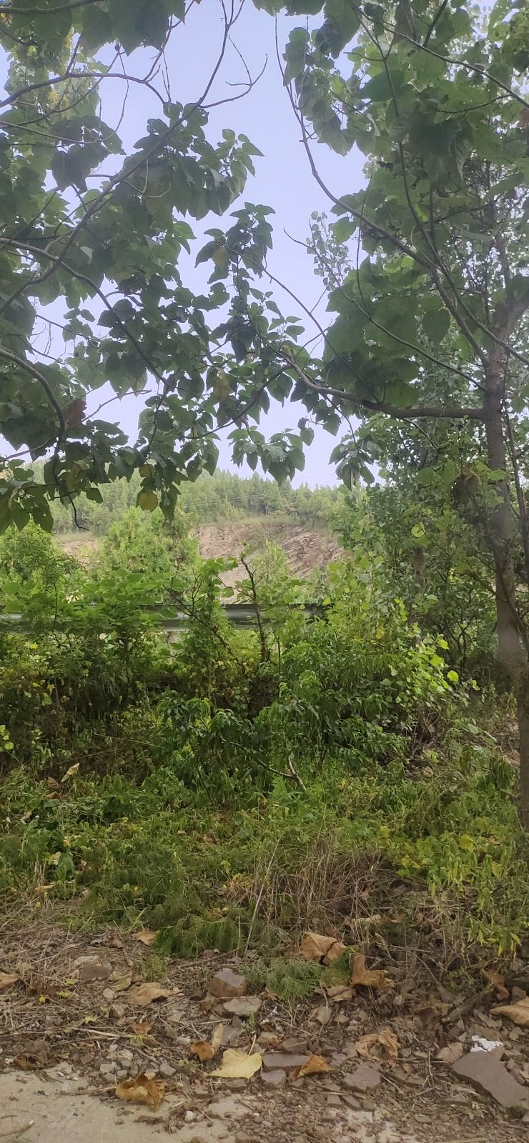 龙腾崮旅游景区