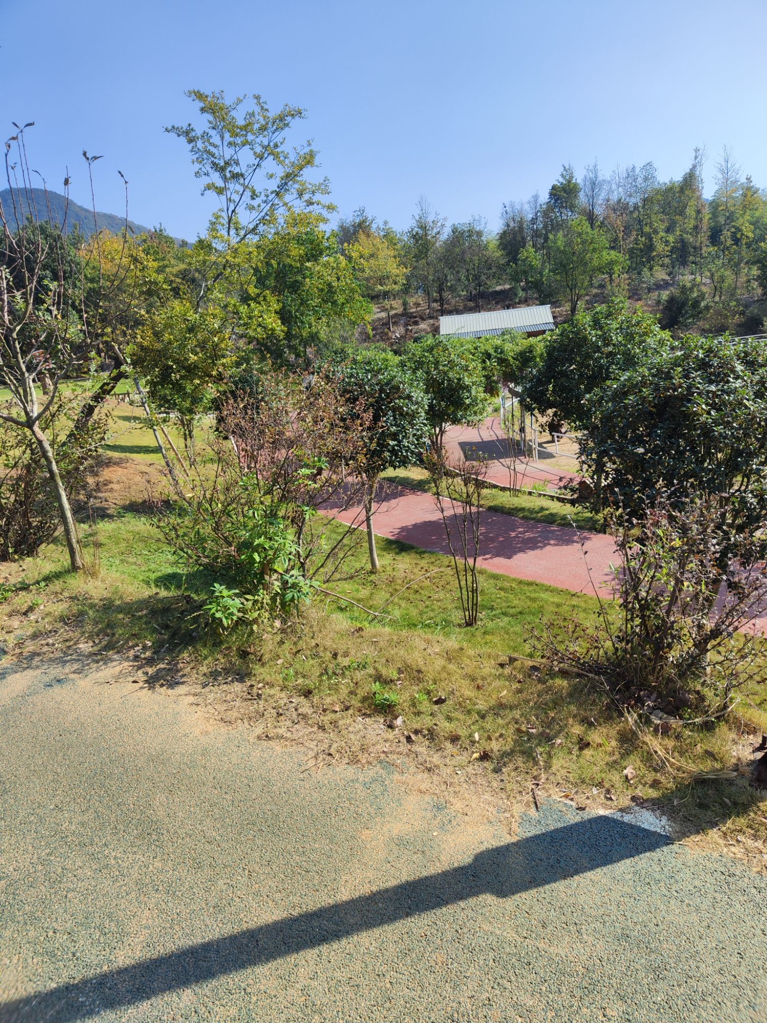 彭泽县凤凰颈景区