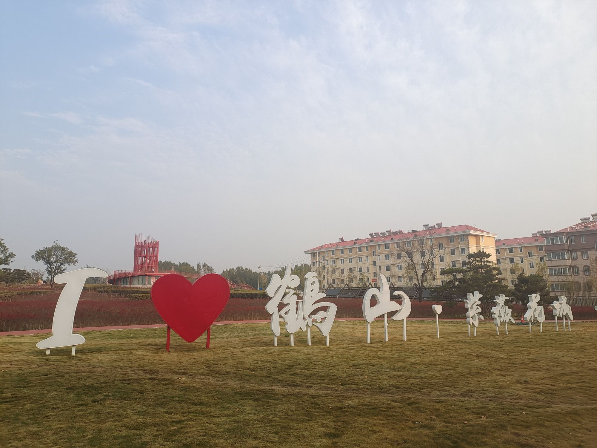 鹤山区康家村紫薇花城旅行图片