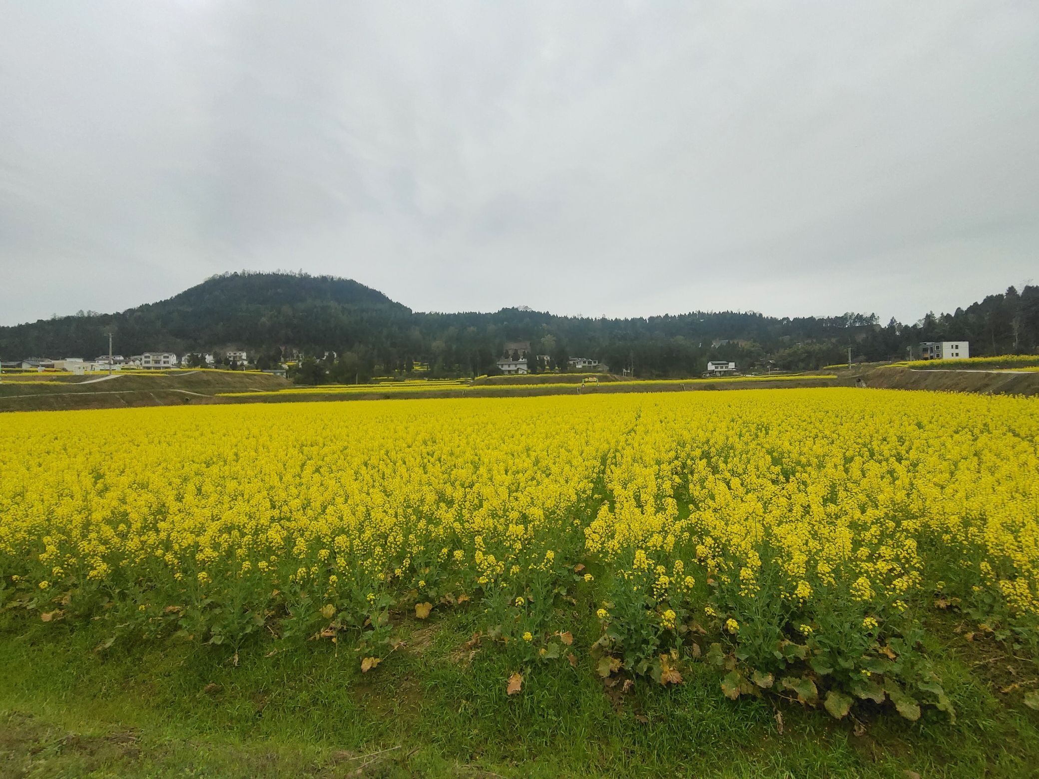 海山情园景区