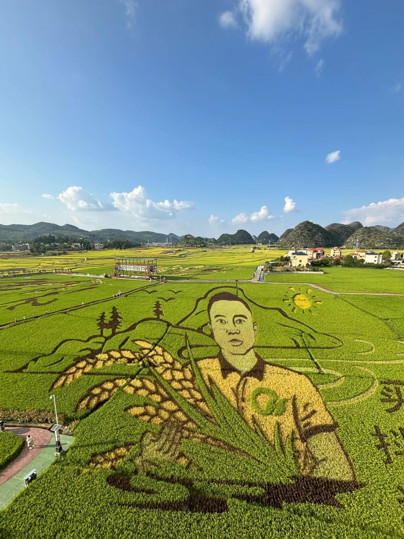 昊禹•稻花乡里旅行图片
