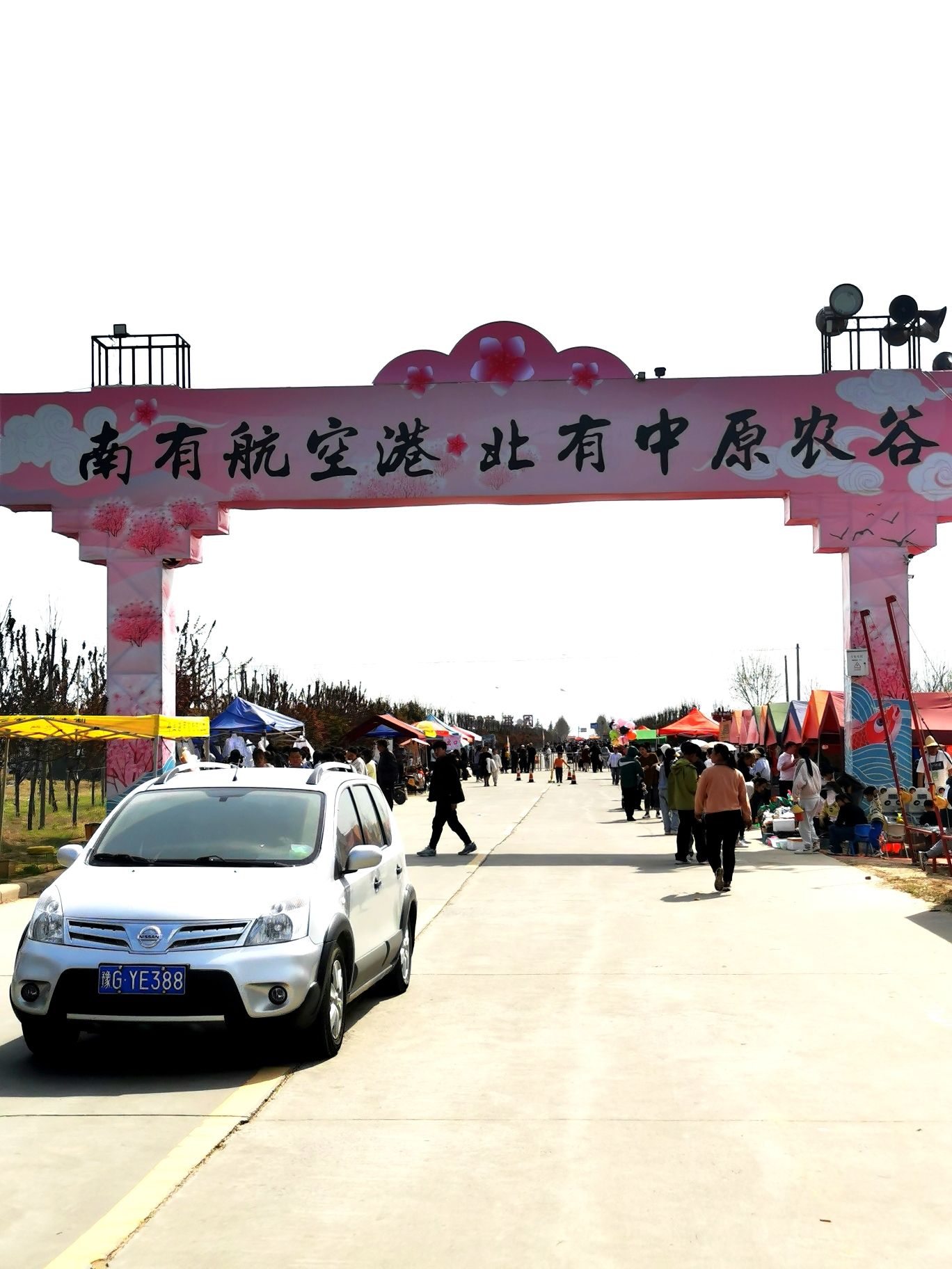 原阳万亩桃园旅行图片