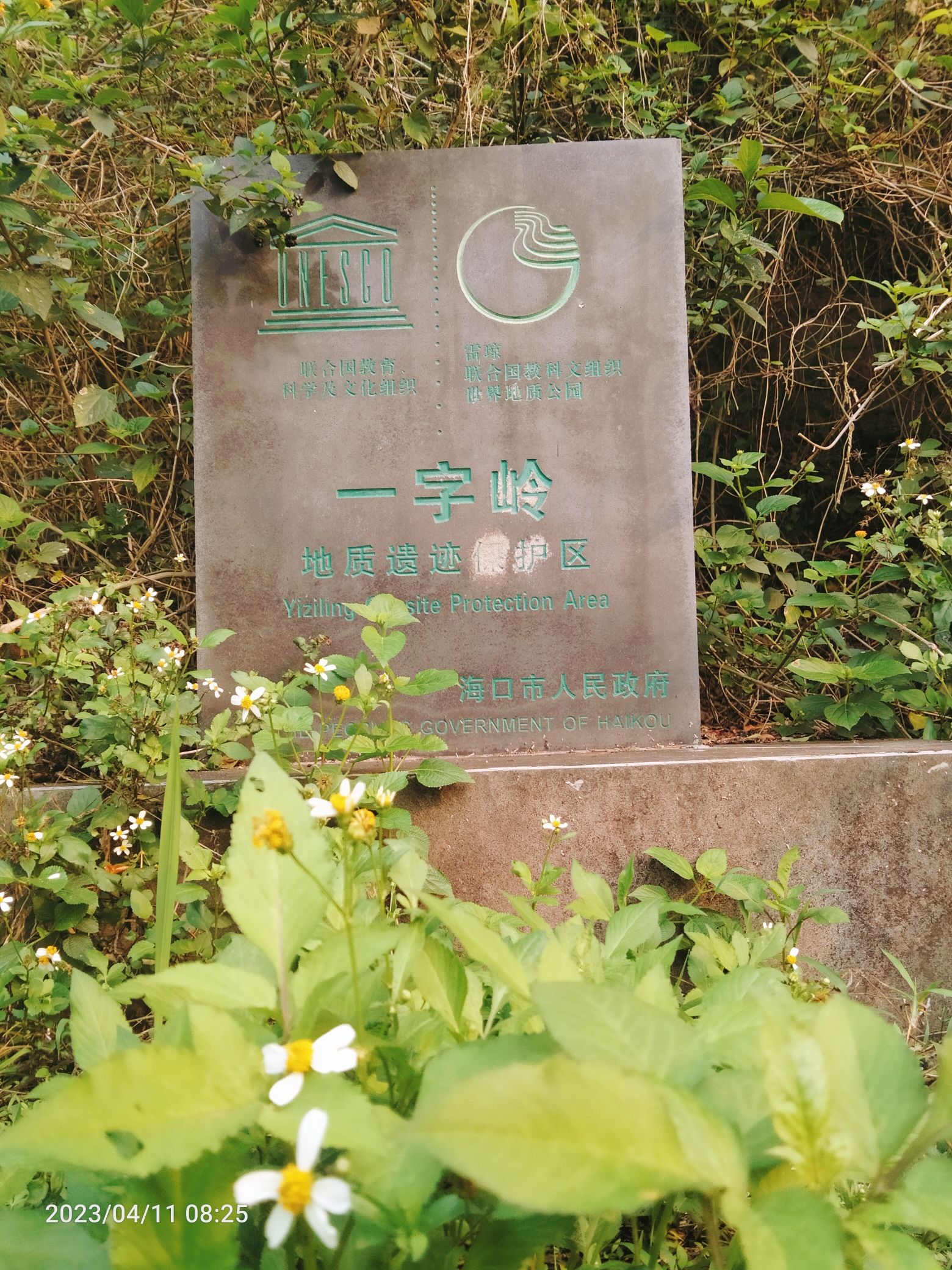 一字岭旅行图片