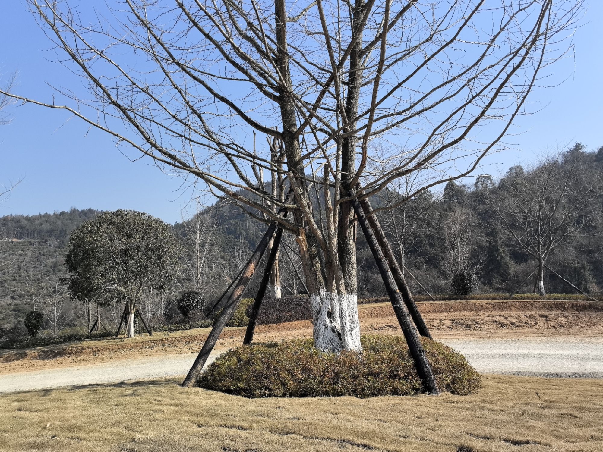 张家界武陵山区植物园