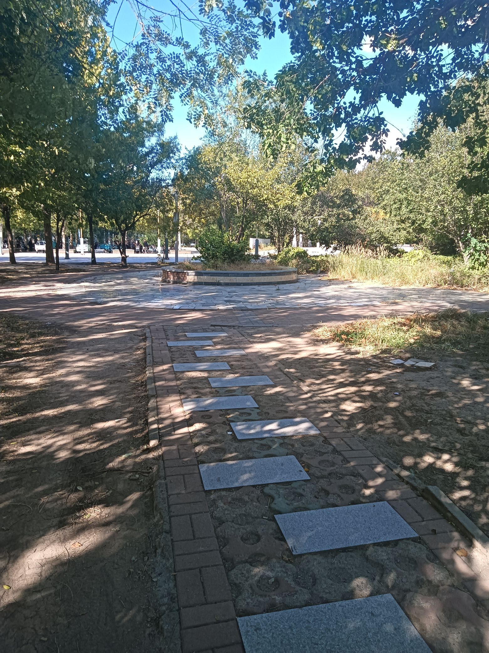 大良镇公园旅行图片