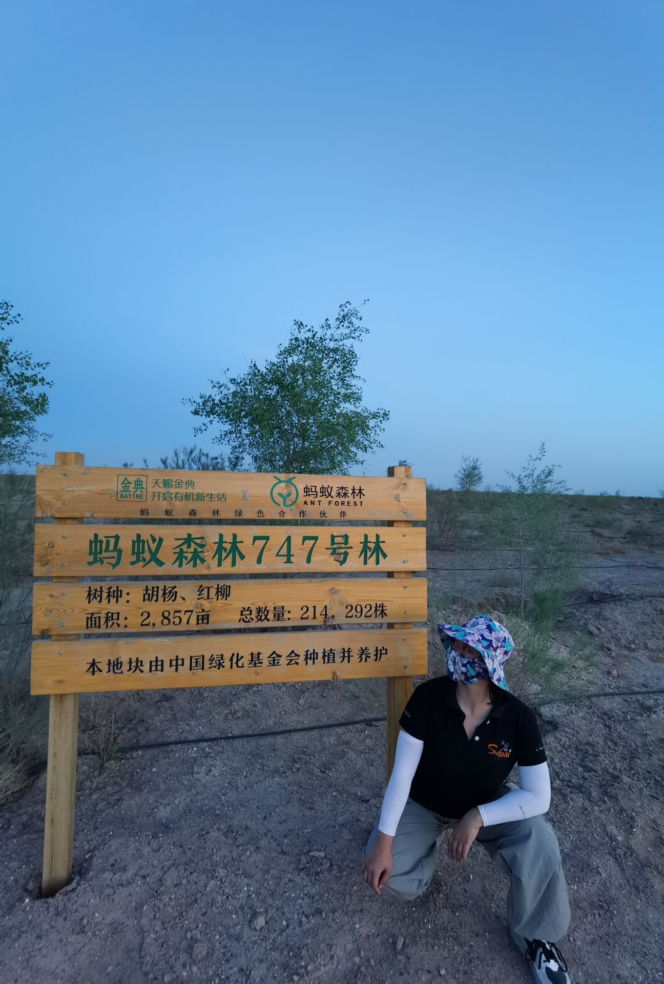 蚂蚁森林747号林·混交林