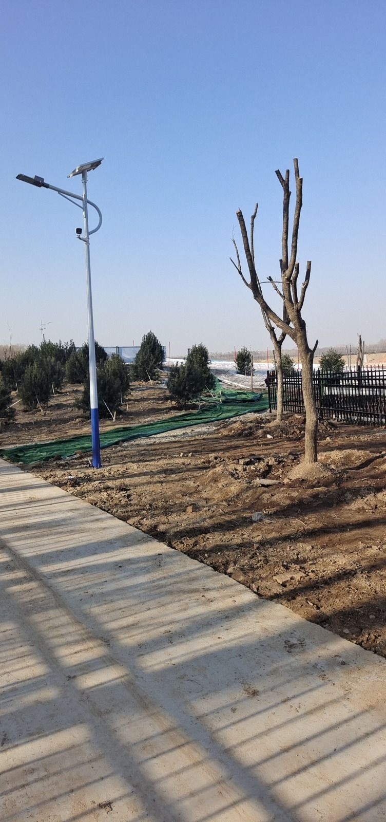 黄河儿童戏雪乐园旅行图片