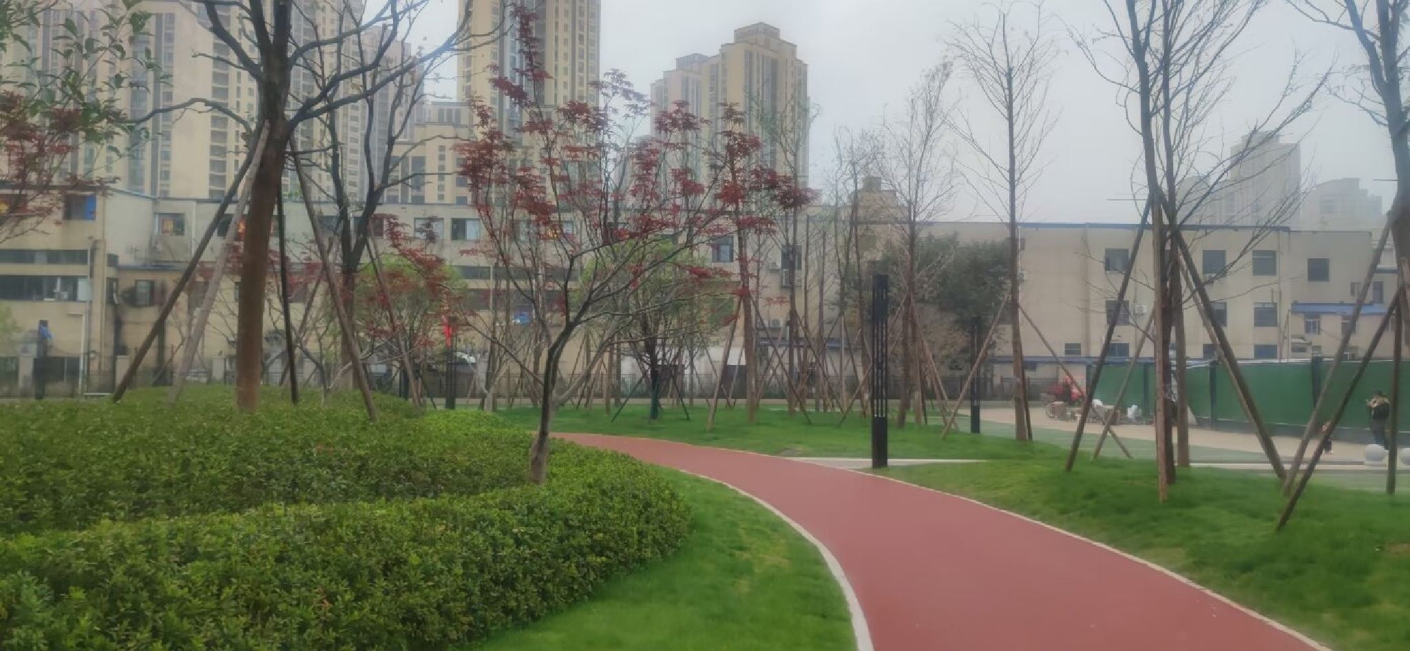 江欣园共同缔造公园旅行图片