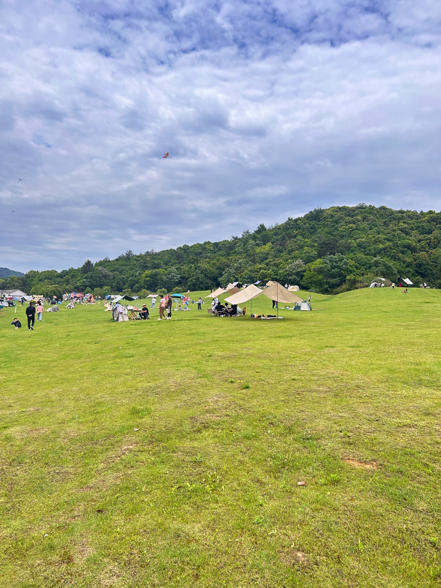 胜联区块山地公园旅行图片