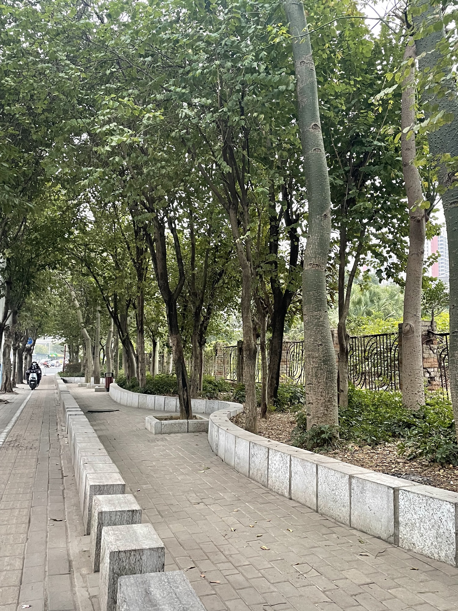 九曲河滨水公园