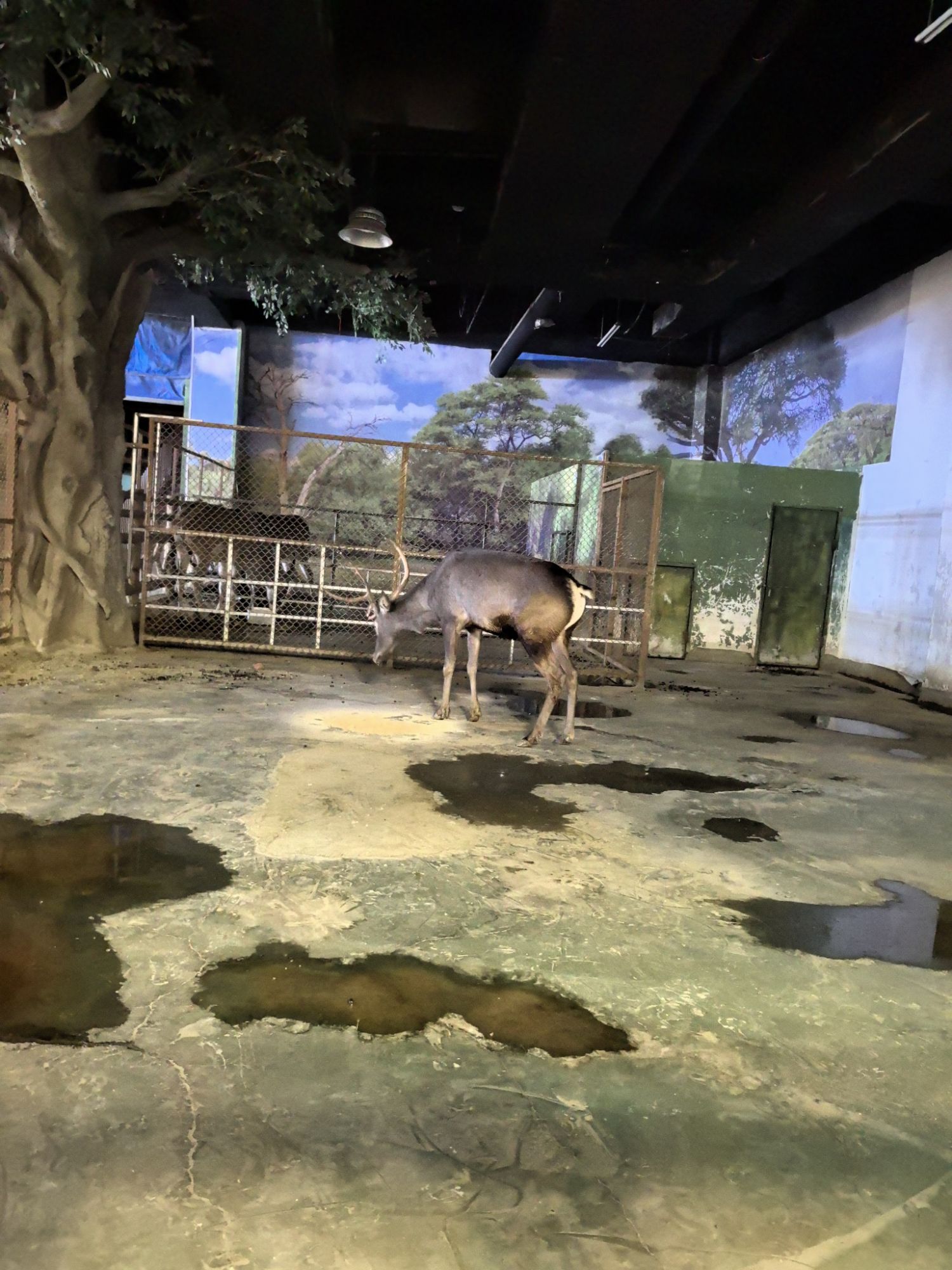 沈阳龙之梦动物科普乐园旅行图片