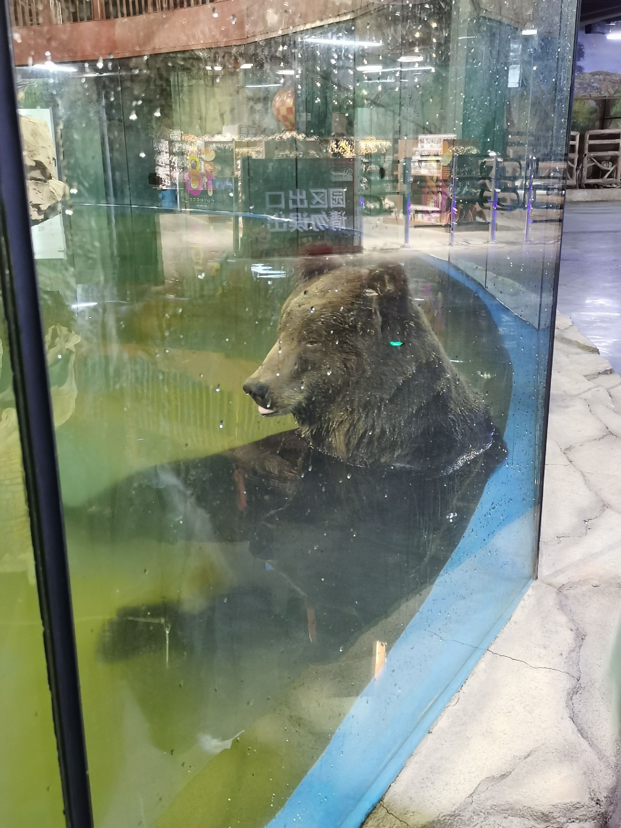 沈阳龙之梦动物科普乐园旅行图片
