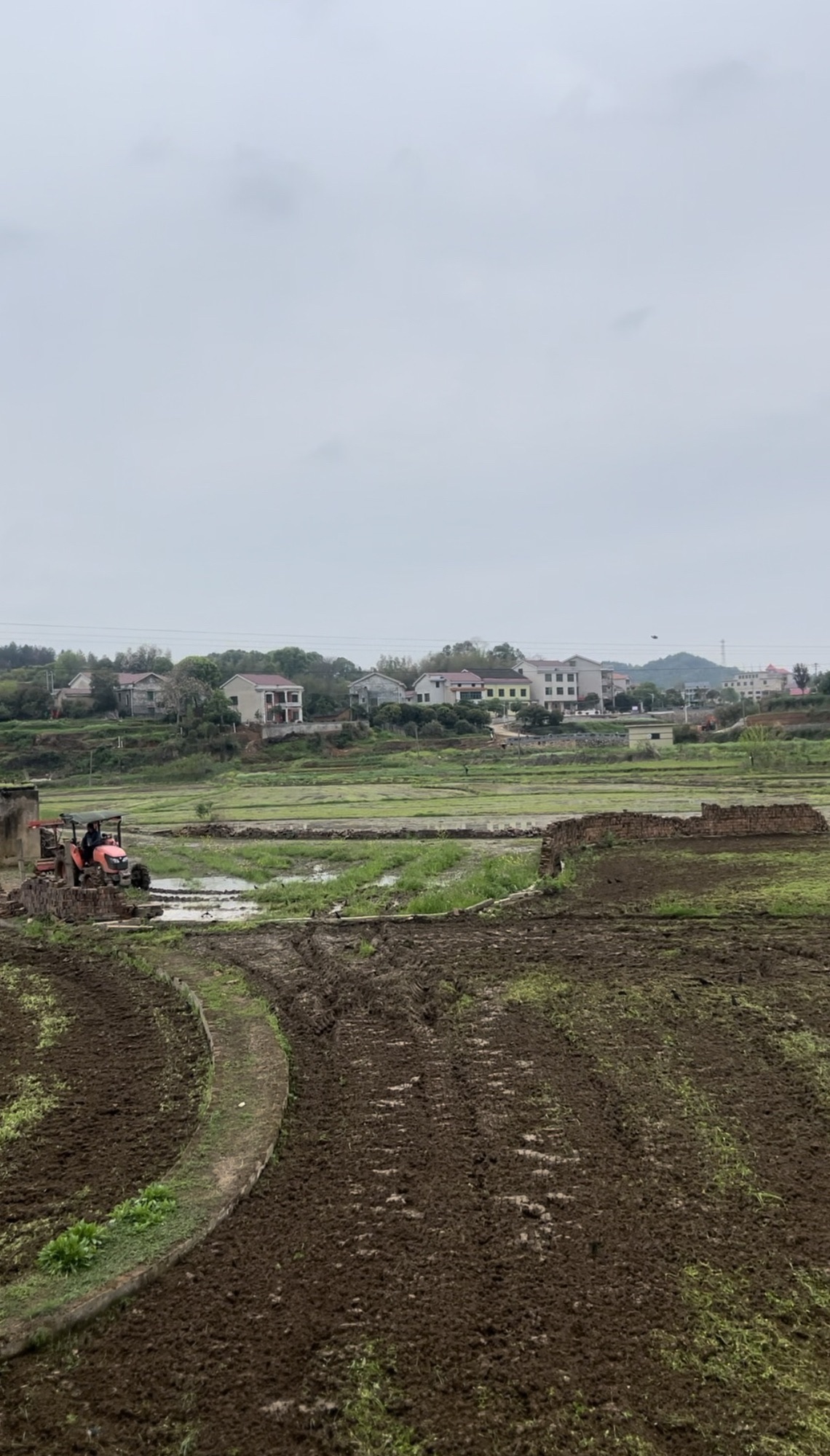 华胜湿地公园旅行图片