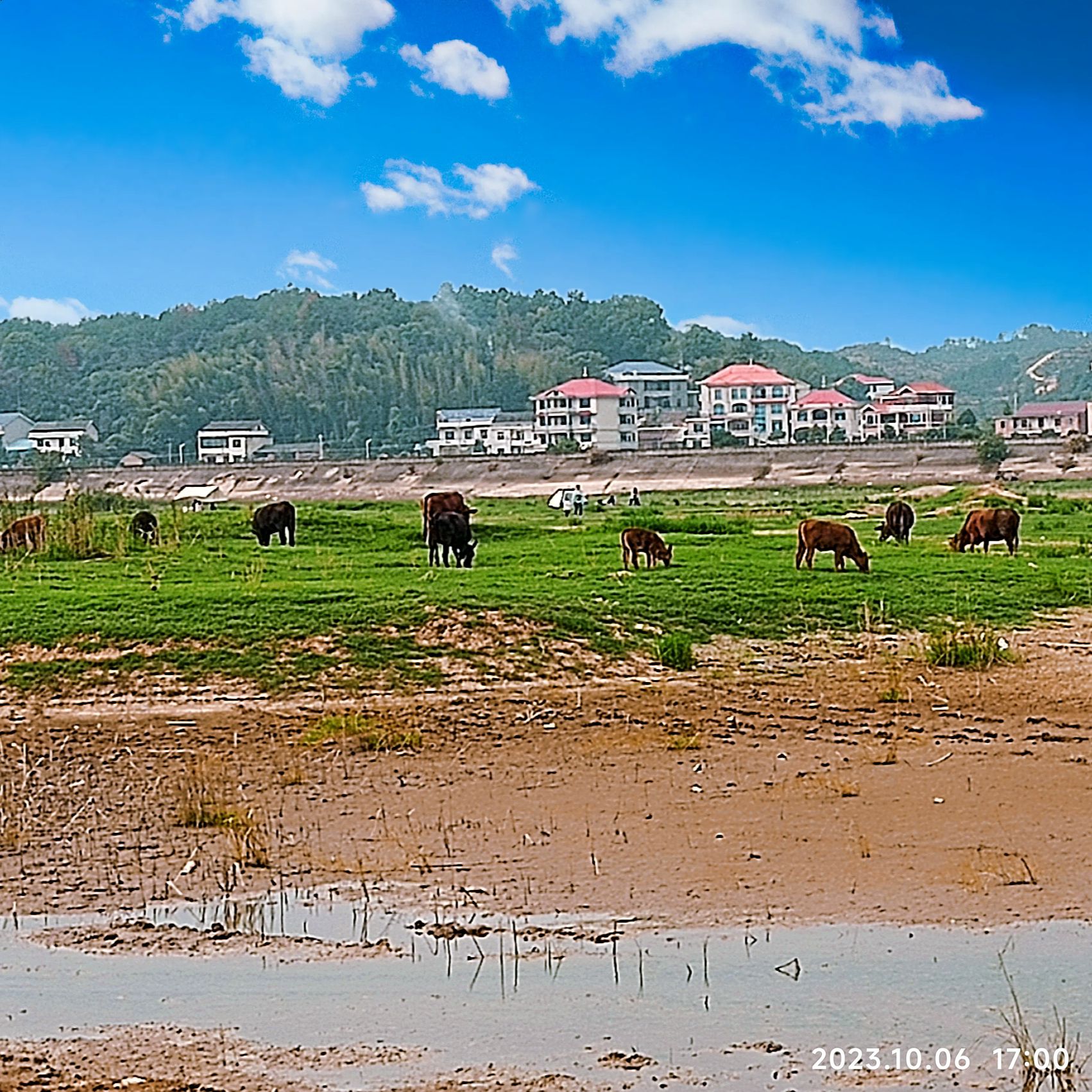 华胜湿地公园旅行图片