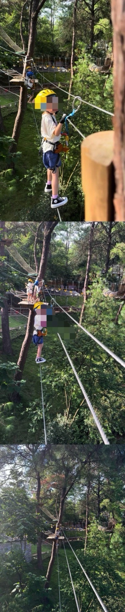 丛林精灵探险乐园旅行图片