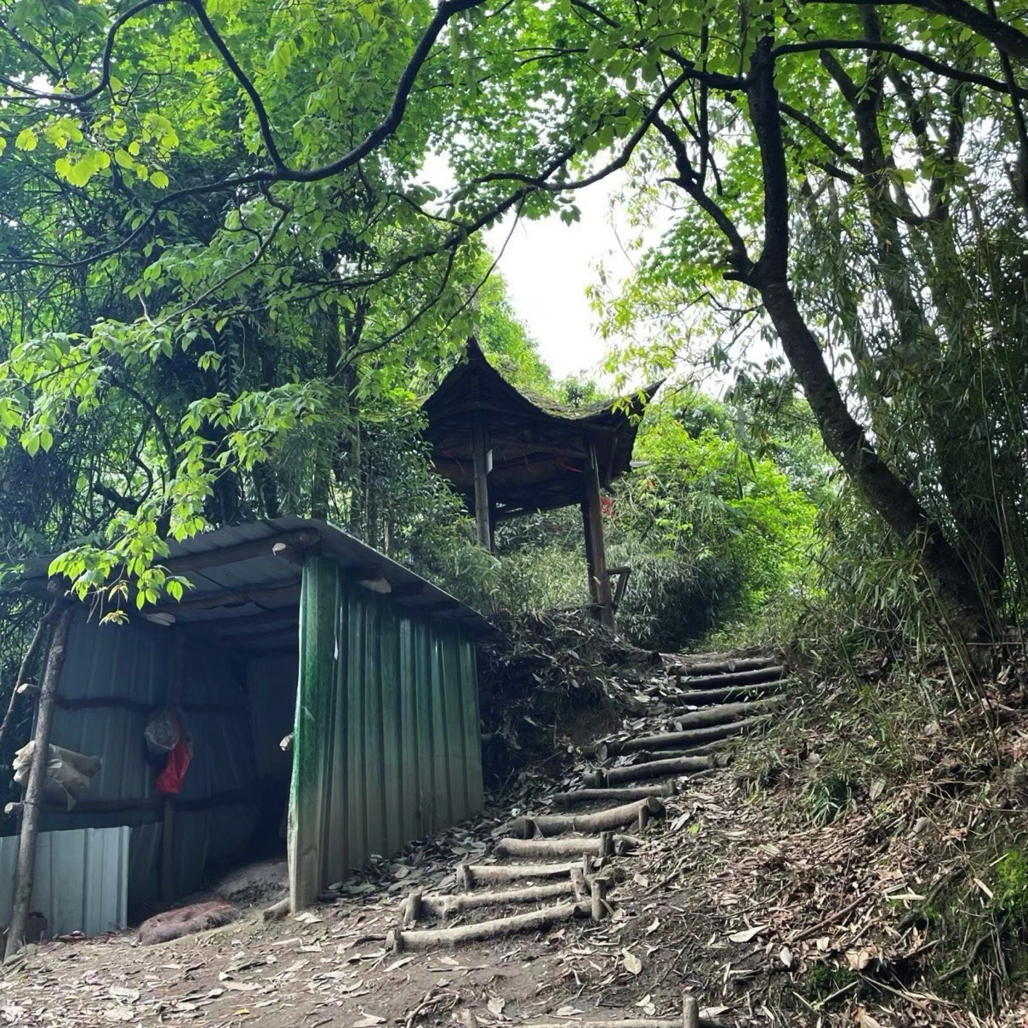 赵公山景区(西线)旅行图片