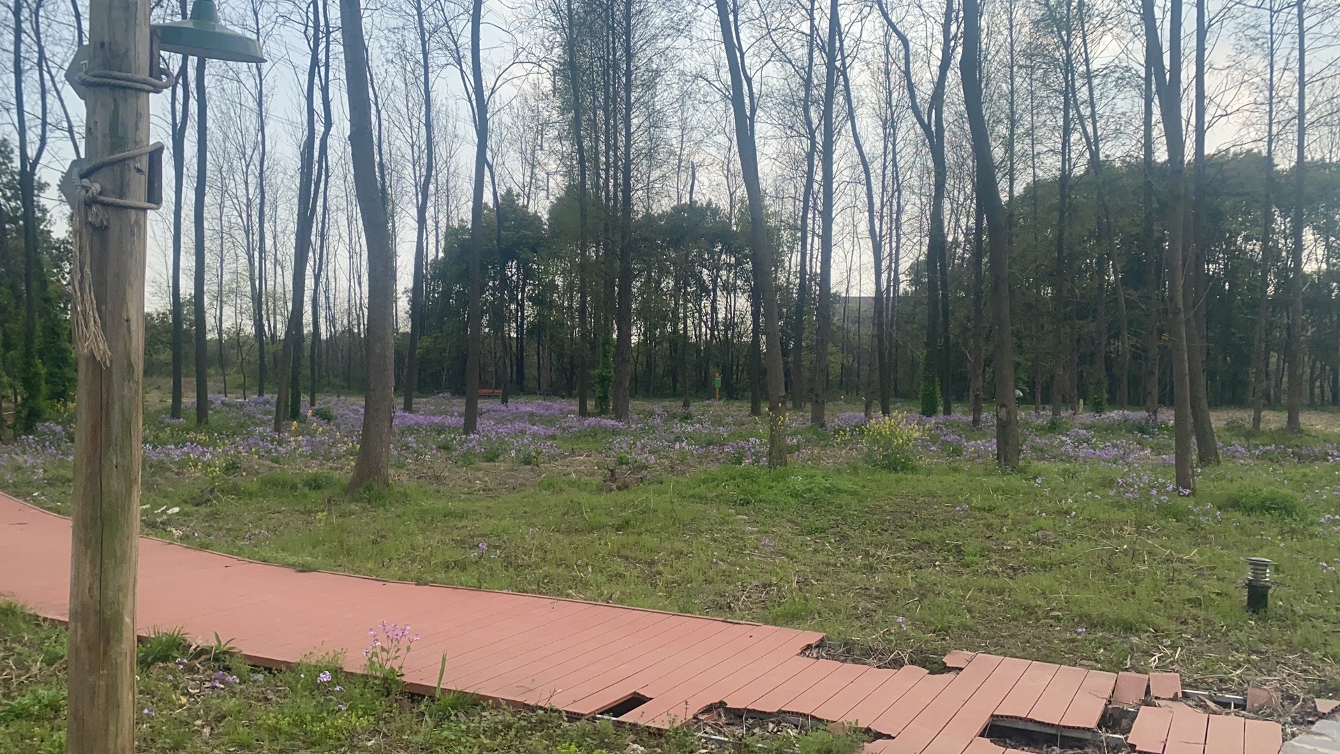 鹅子岸郊野公园