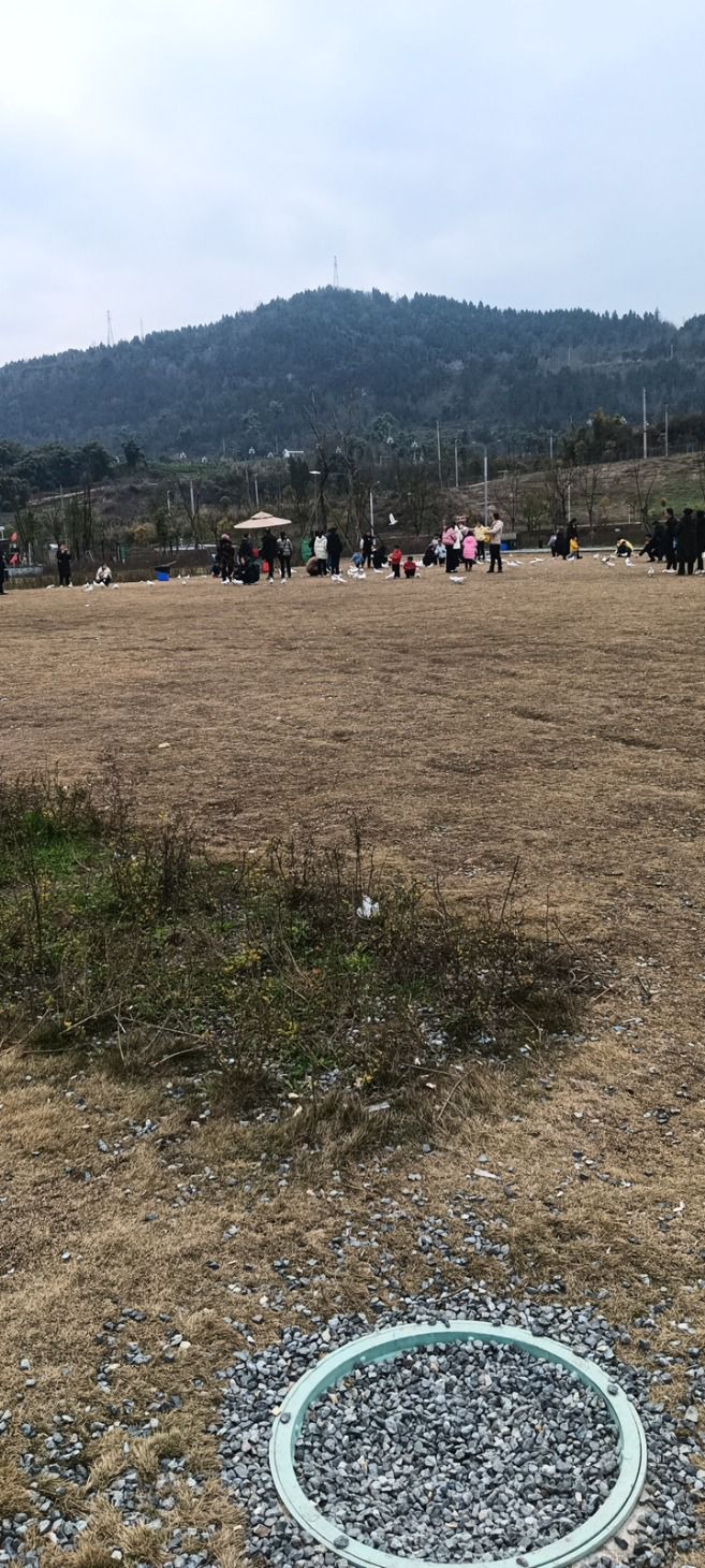 平昌城市体育运动公园旅行图片
