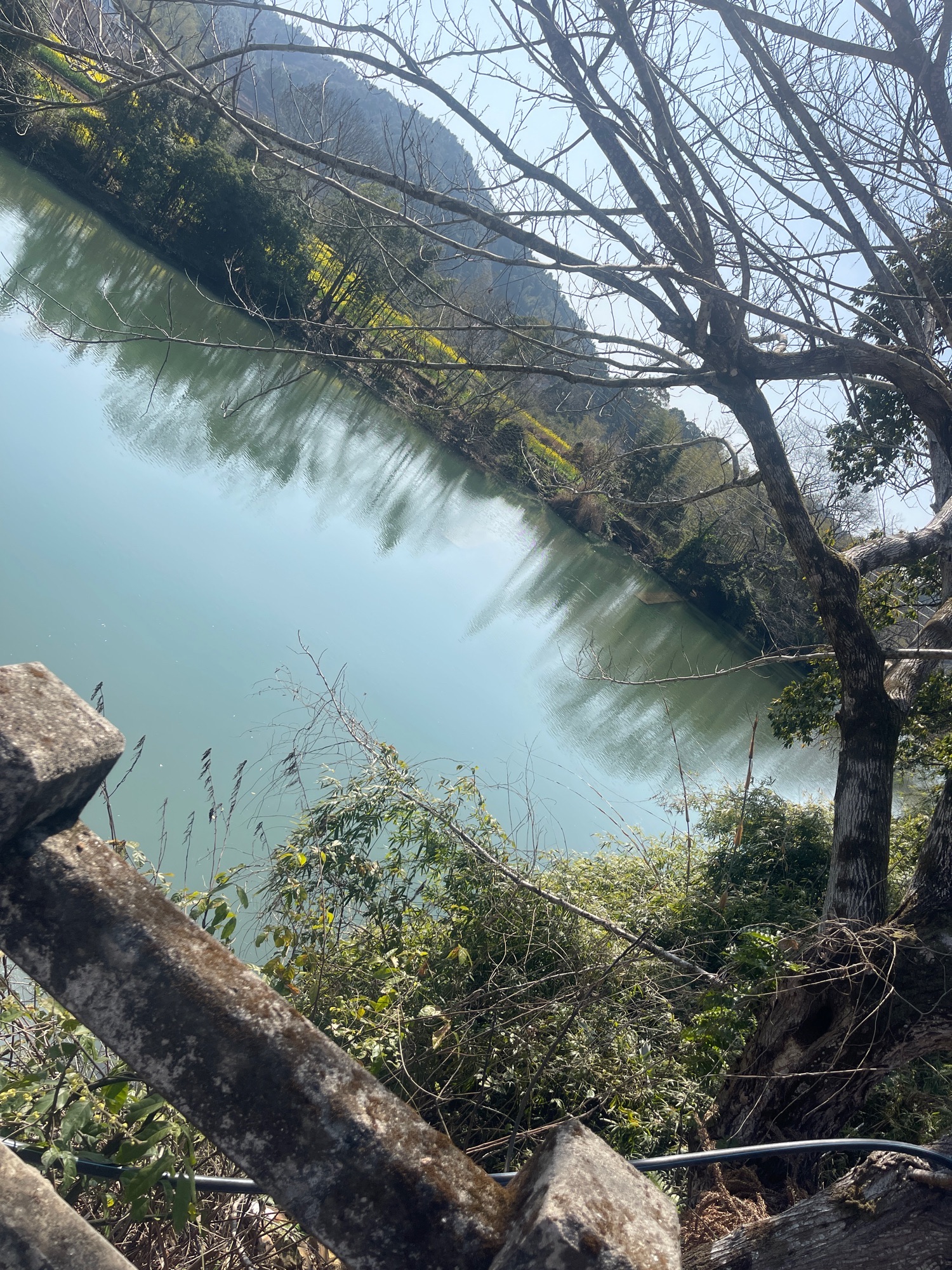 五斗江国家湿地公园旅行图片