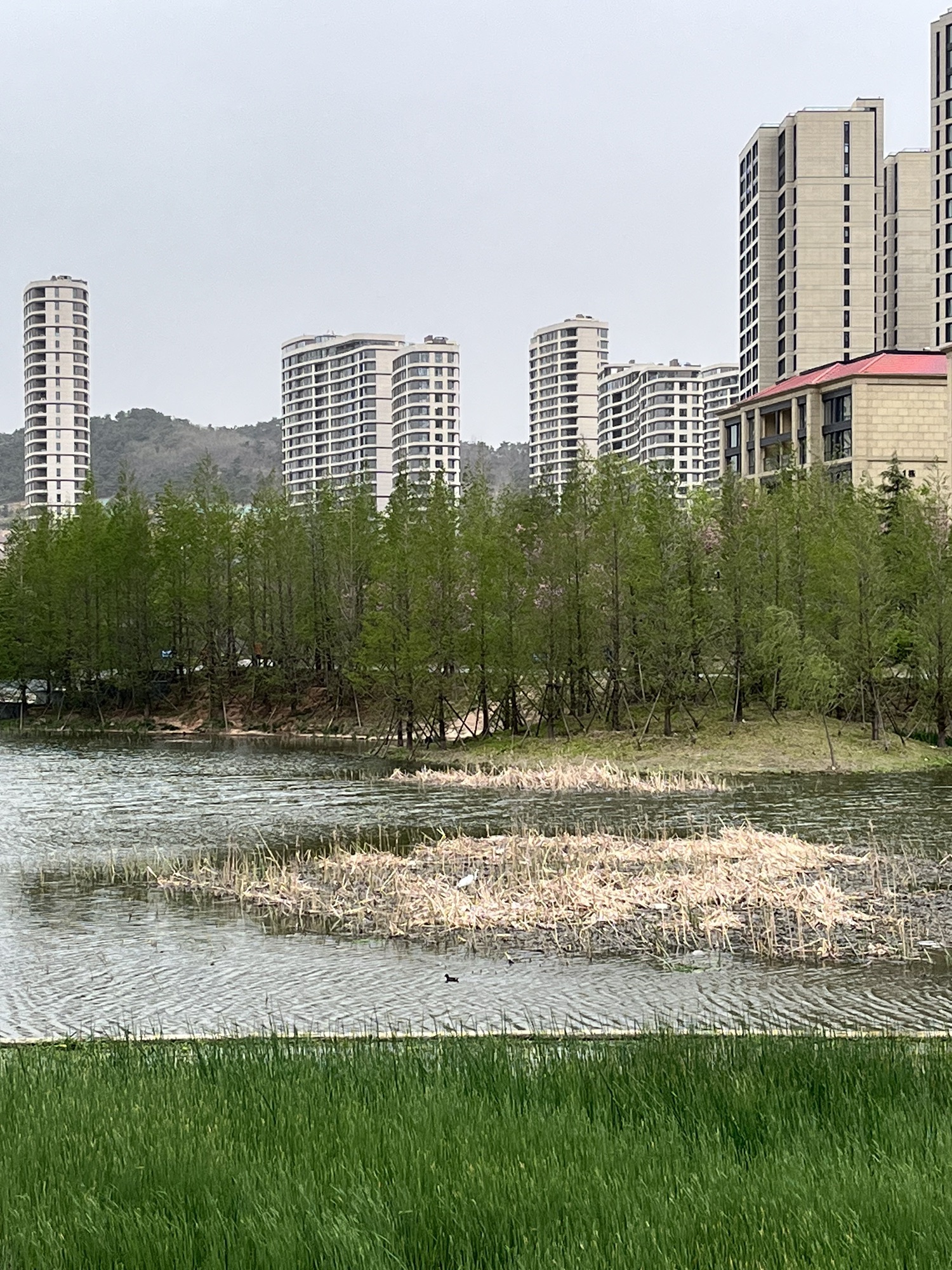 卧龙湖公园旅行图片