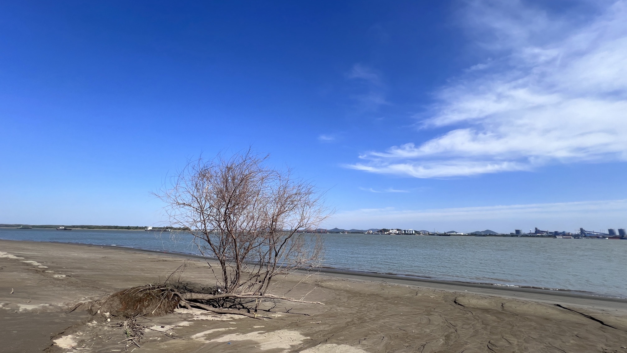 和县浮沙圩湿地公园旅行图片