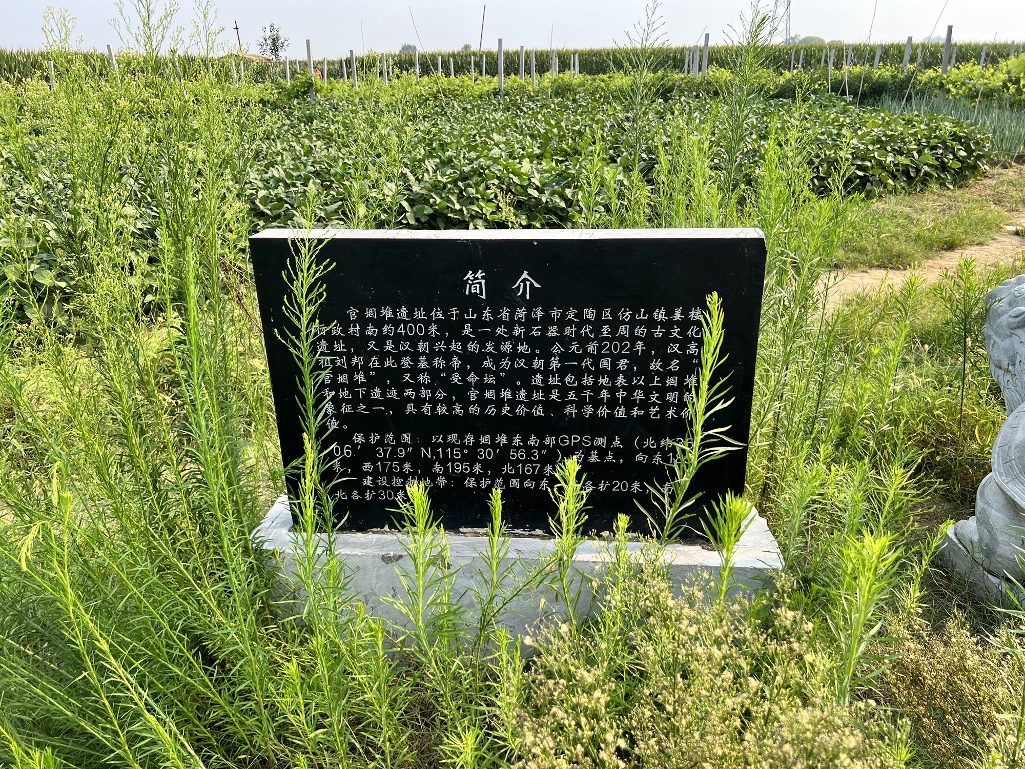 官堌堆遗址