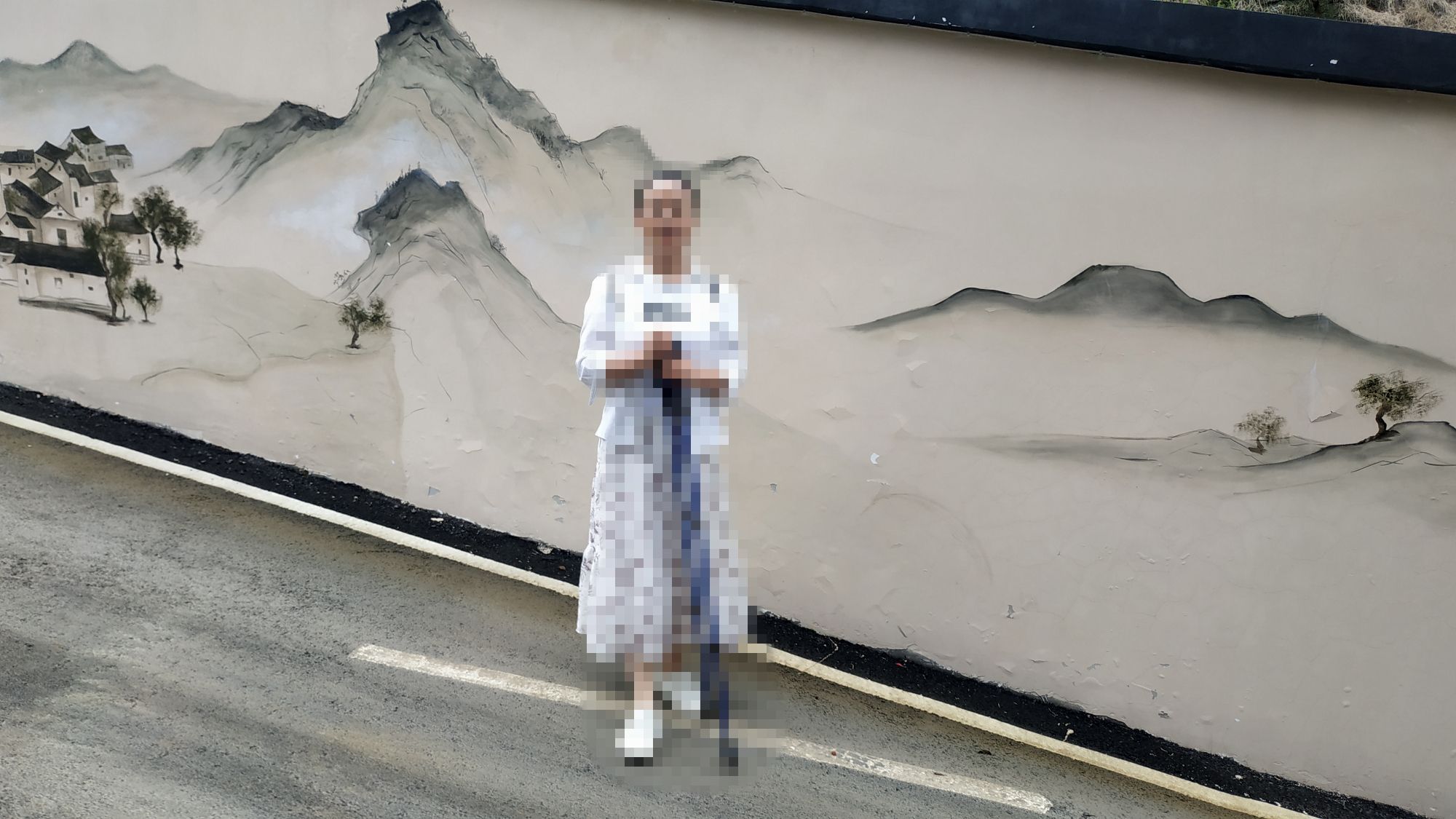 天街李子坪旅行图片
