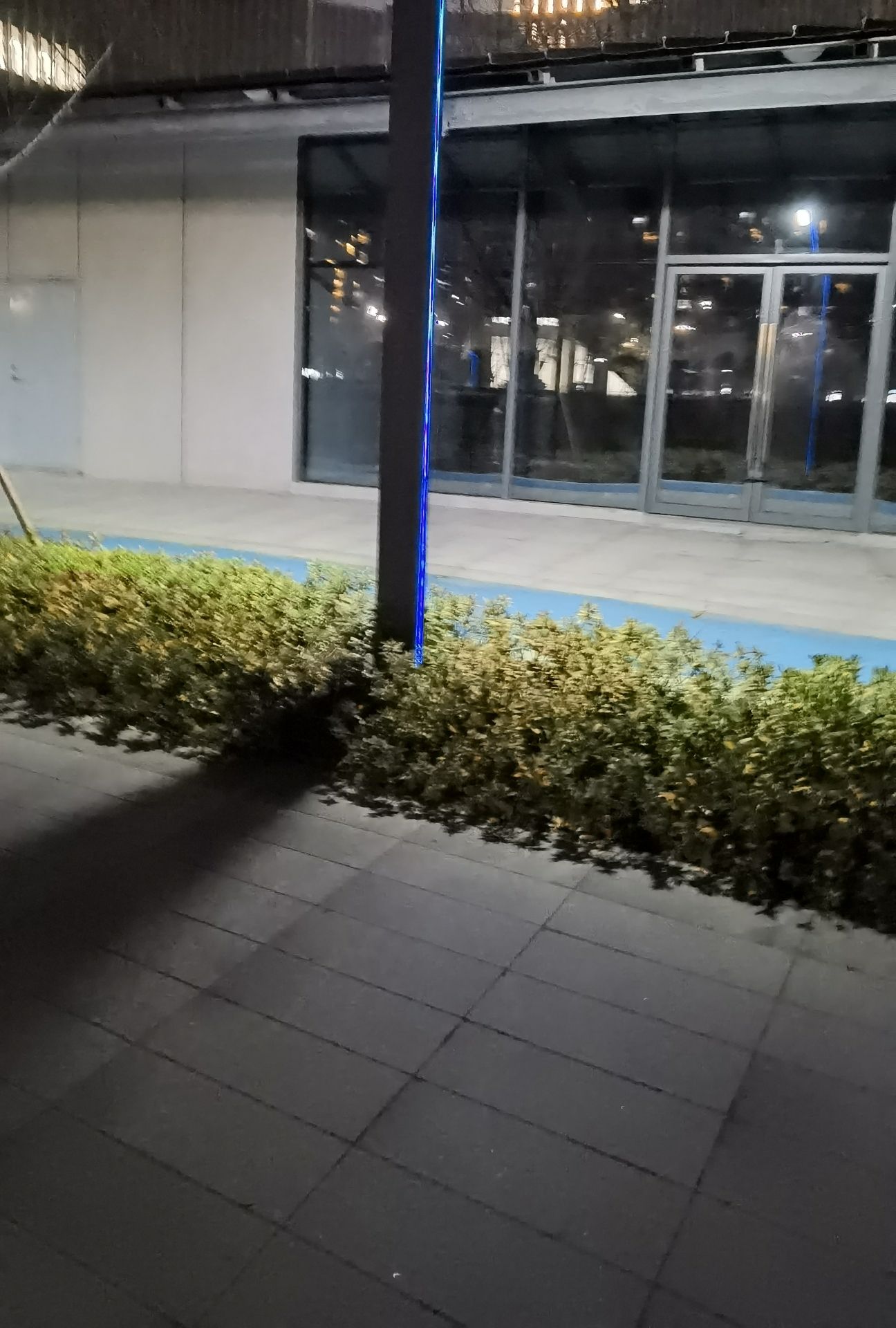 物联网感知之轴公园旅行图片