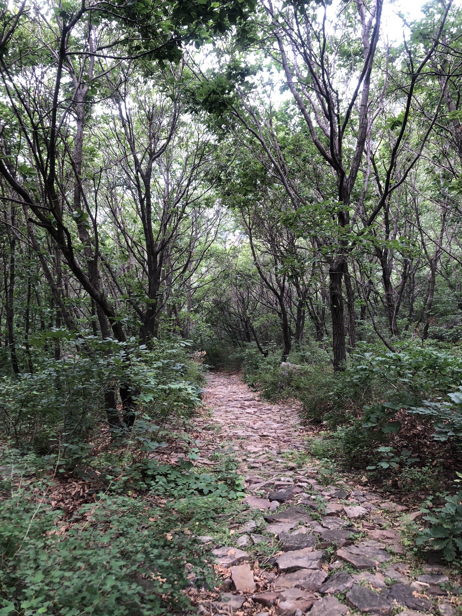 凌源市大河北镇红石山AAA级生态旅游区