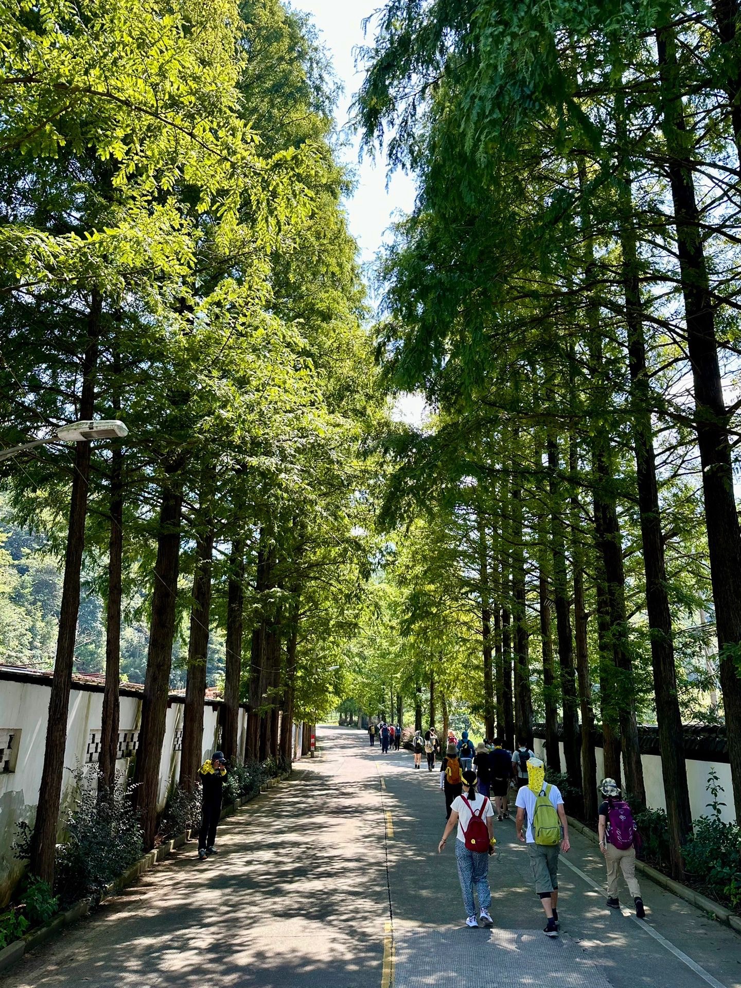上青古道
