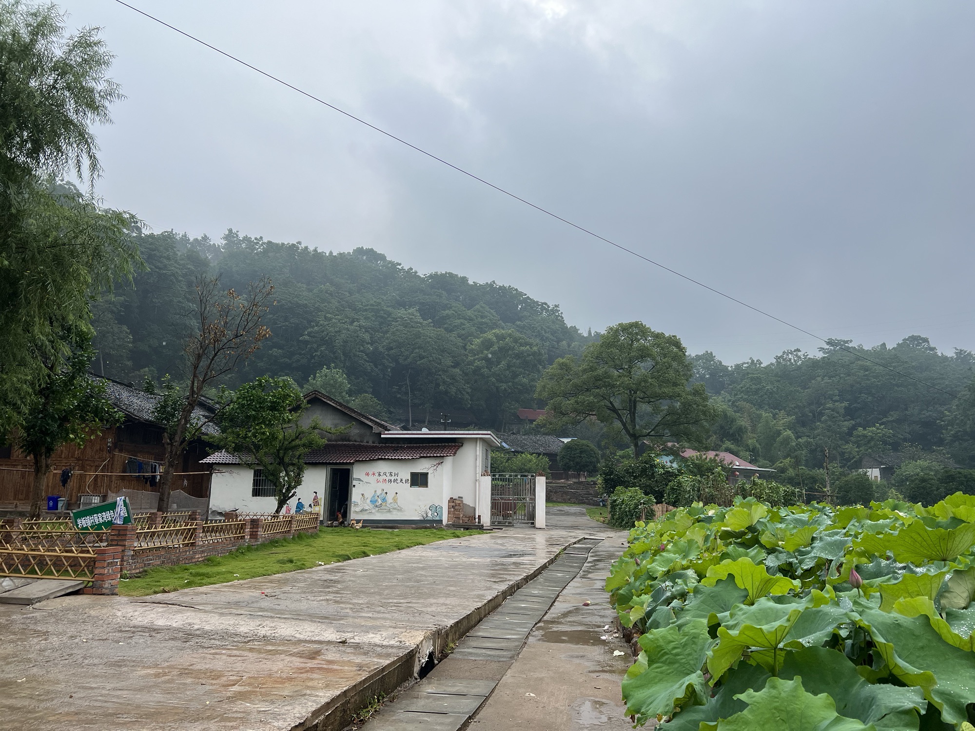 明溪口网红鱼鳞坝旅行图片