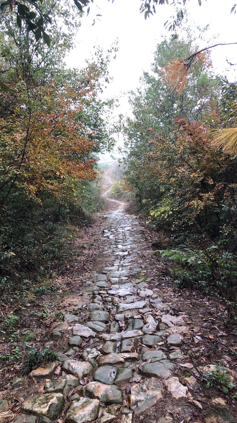 茶马古道