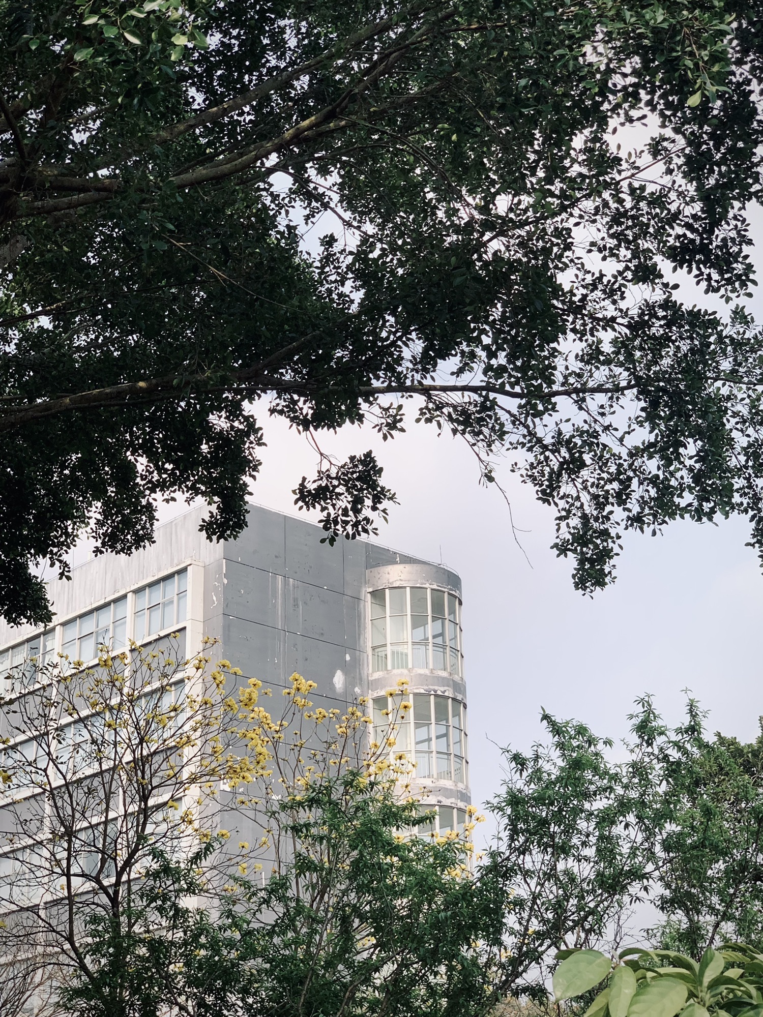湛江南亚热带植物园旅行图片