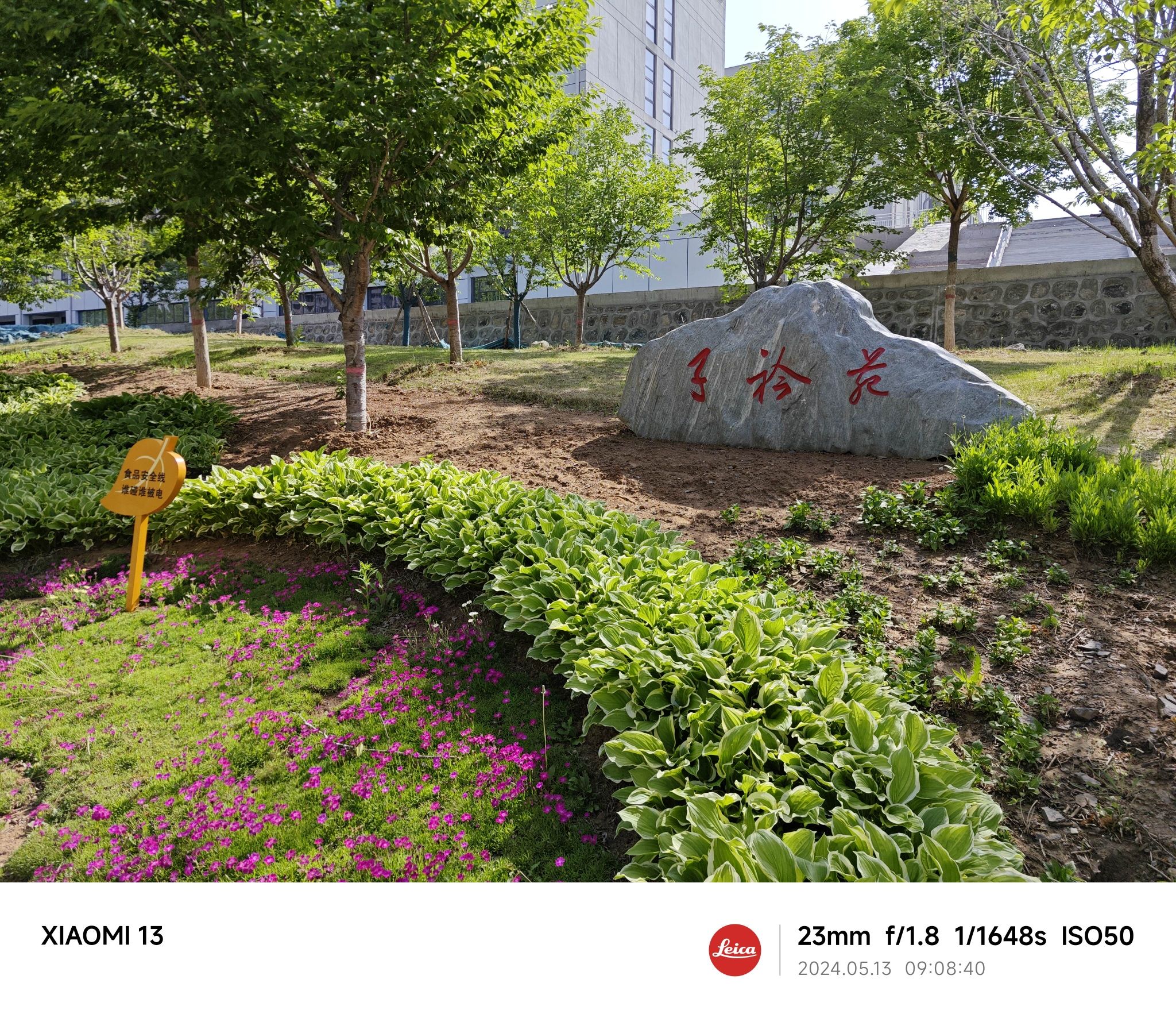 子矜苑(网红投影公园)