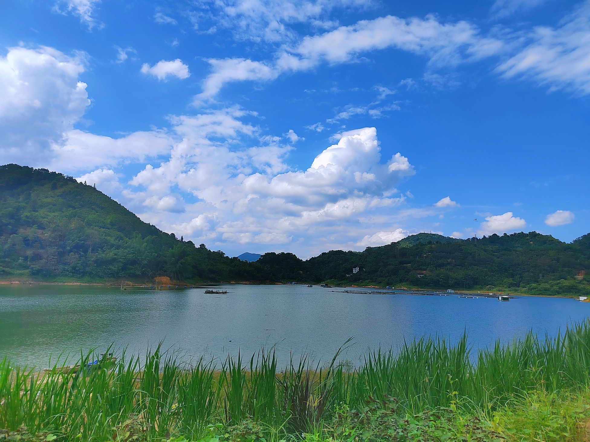 通门镇大美向阳湖观景台