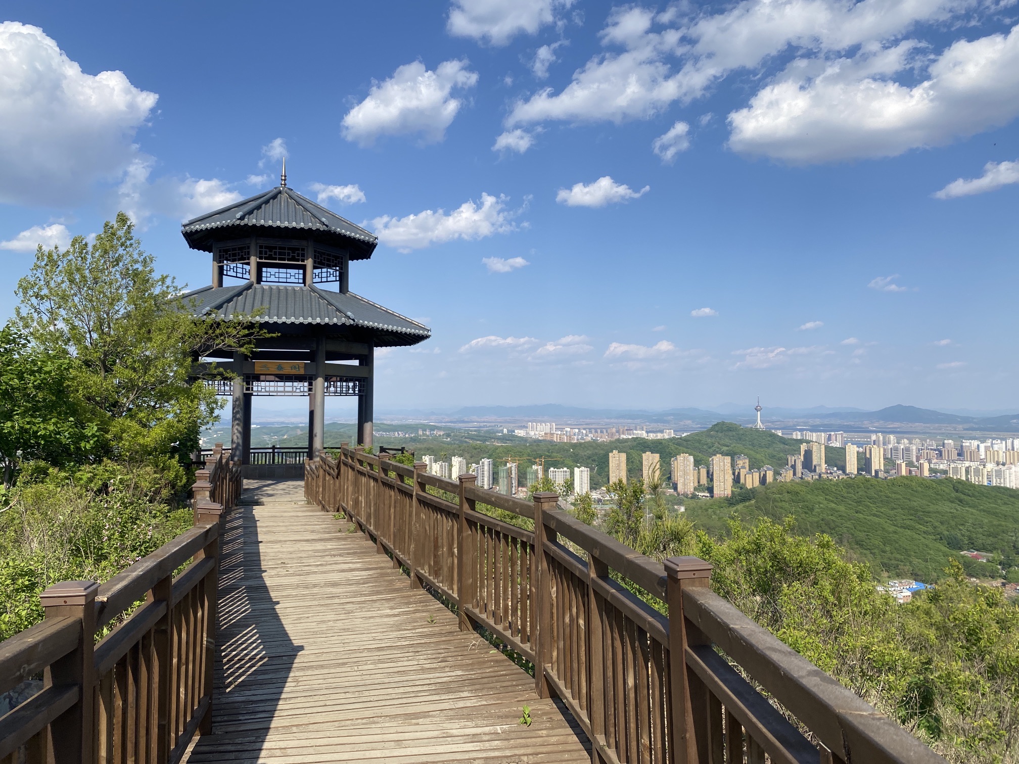 三泰阁旅行图片