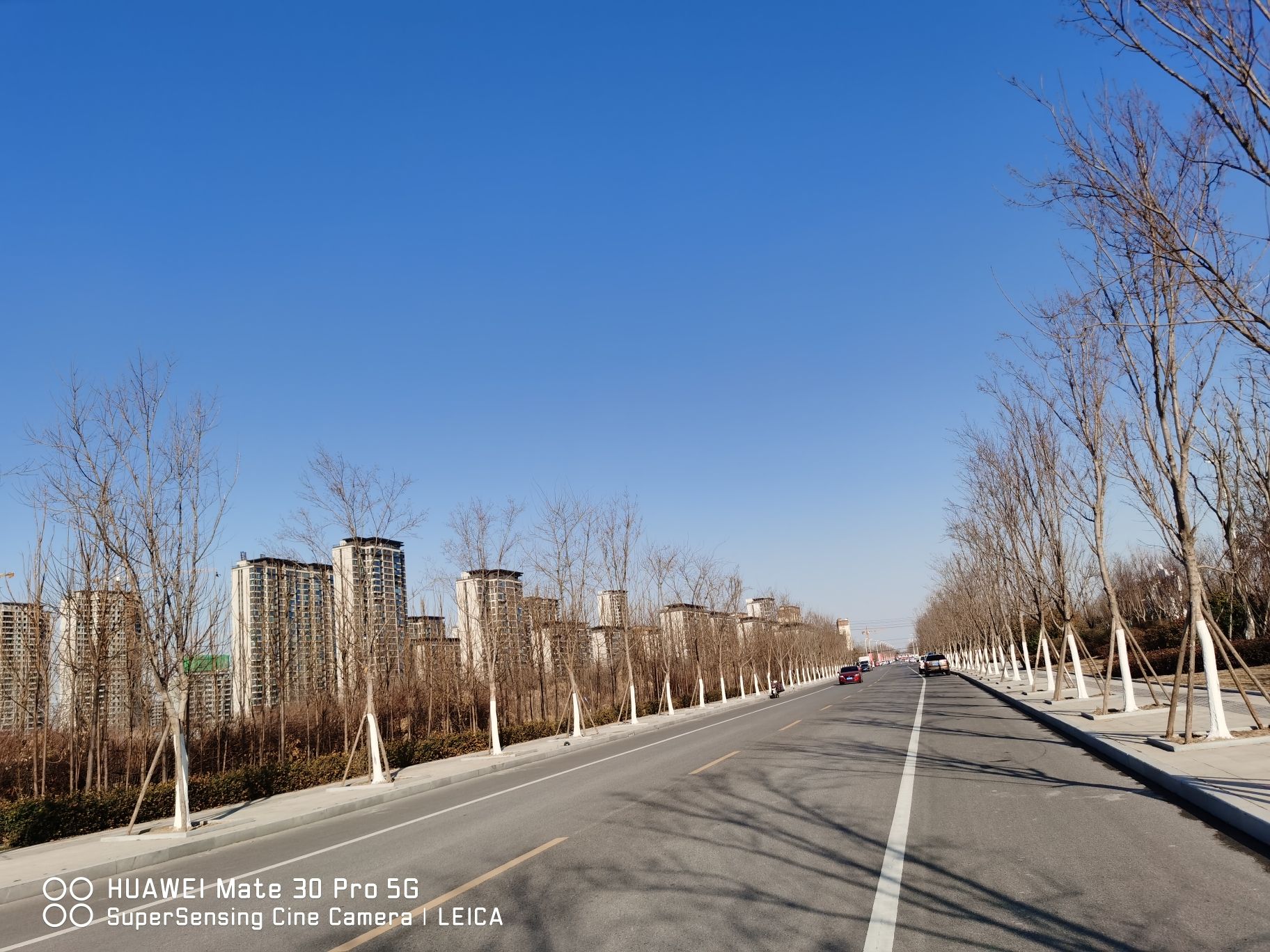 鄄城尧天阁旅行图片