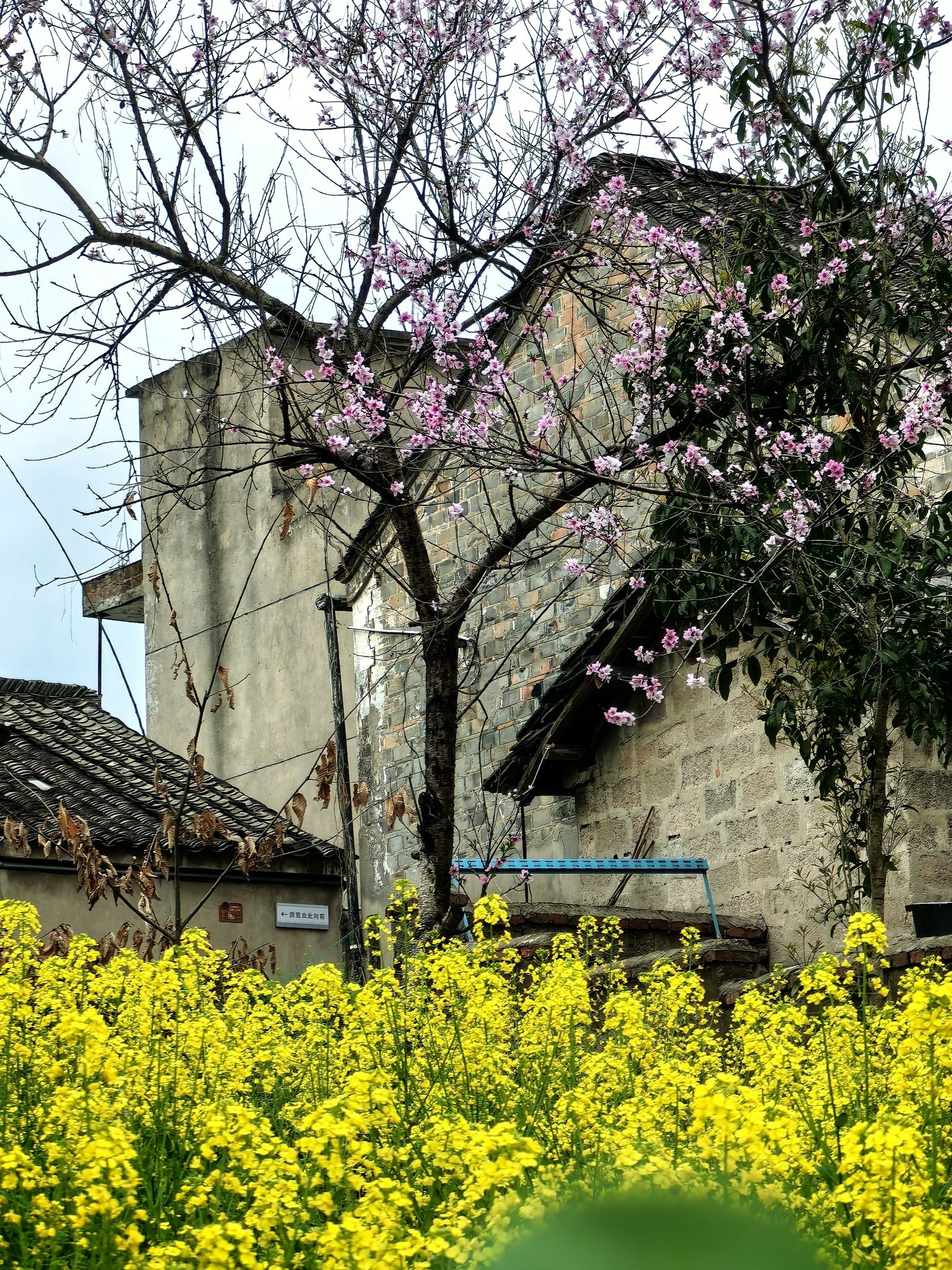 烟墩山文化遗址公园旅行图片