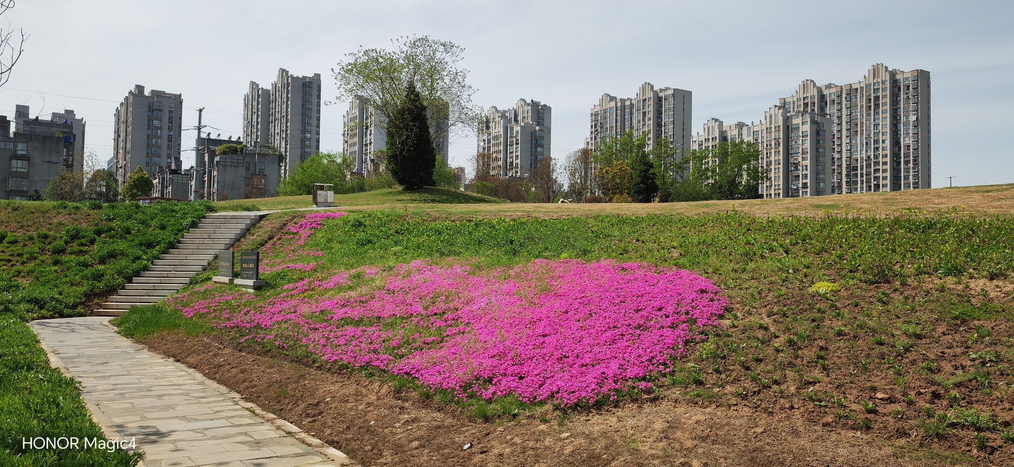 烟墩山文化遗址公园旅行图片